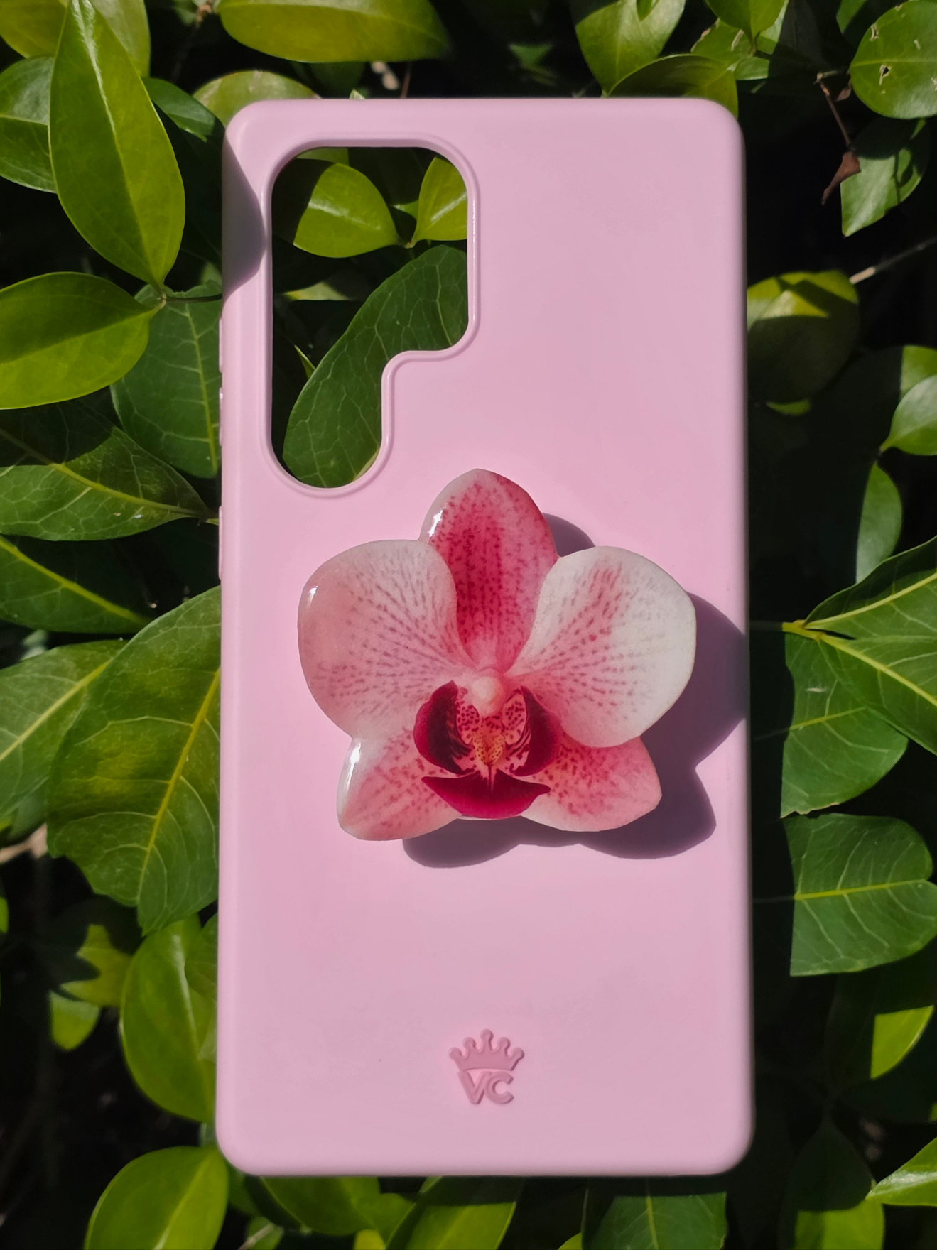 Pink Phalaenopsis orchid flower phone grip