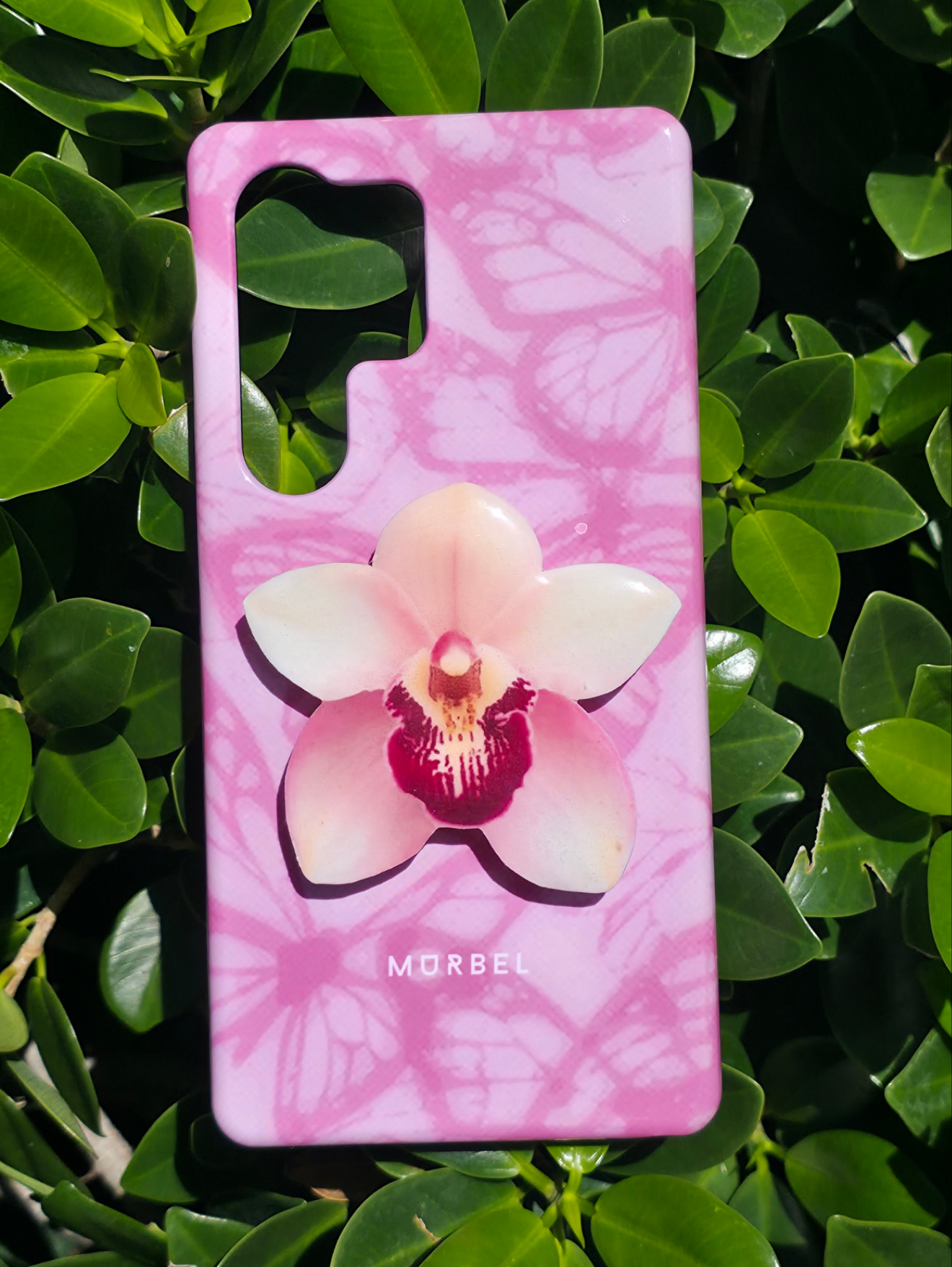 Cymbidium white orchid flower phone grip