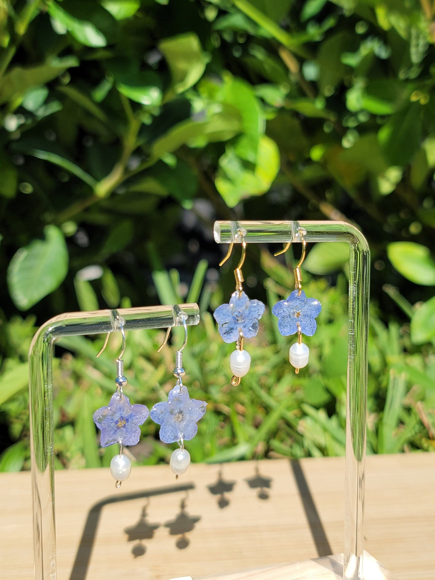 Blue Forget Me Not Real Flower Earrings