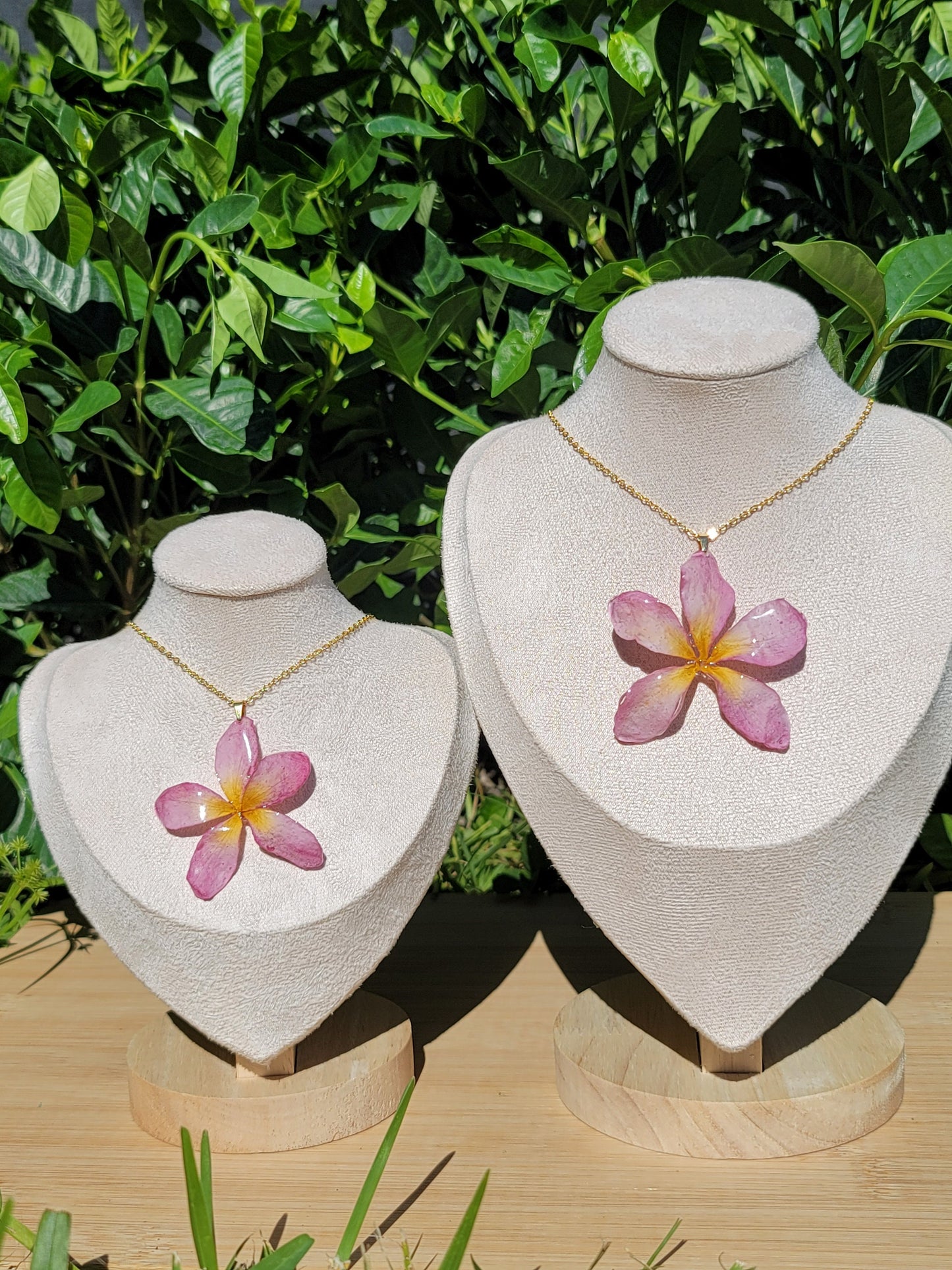 Light Pink-Yellow Real Plumeria Flower Necklace