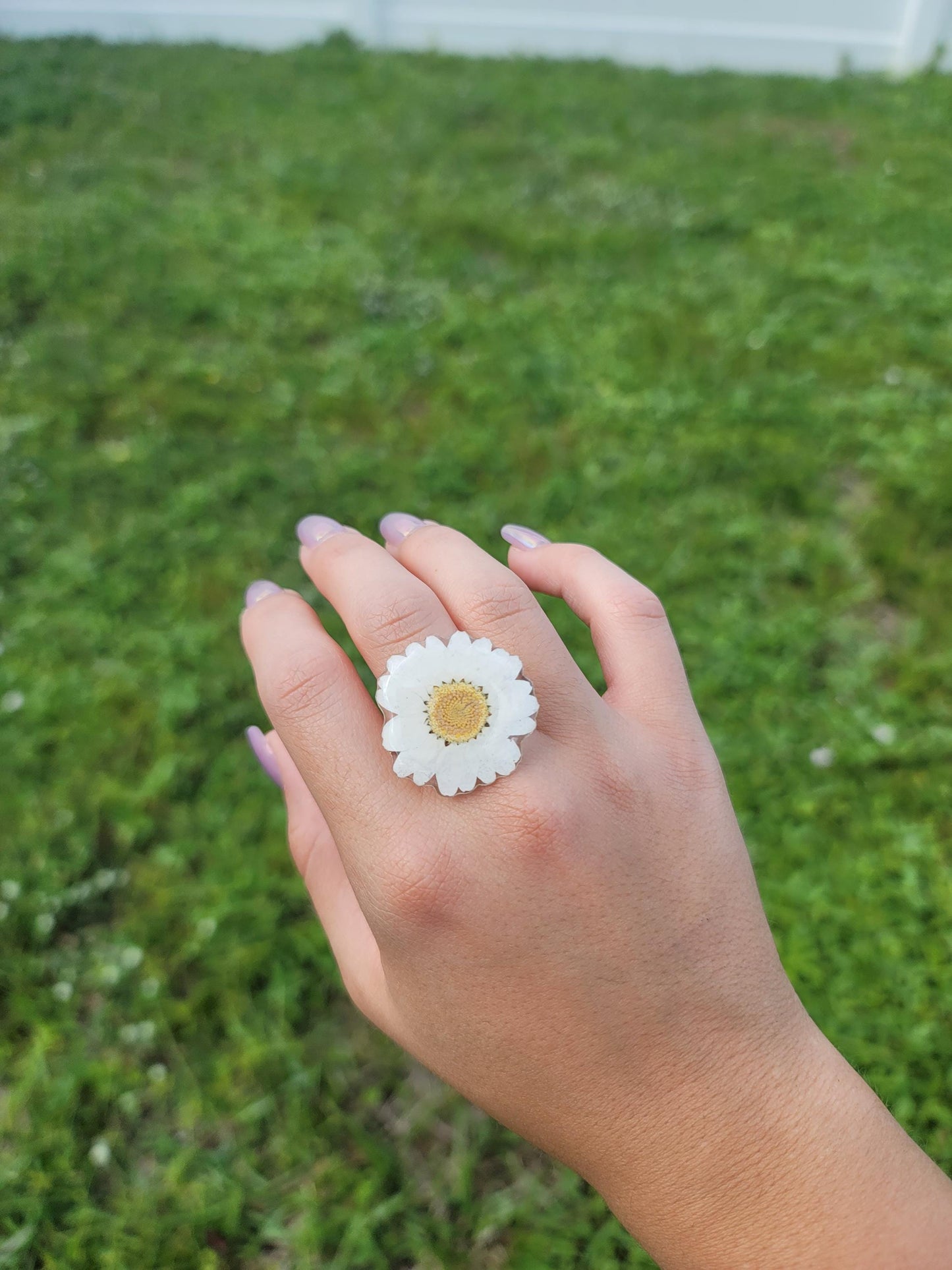 Real Daisy Flower Ring