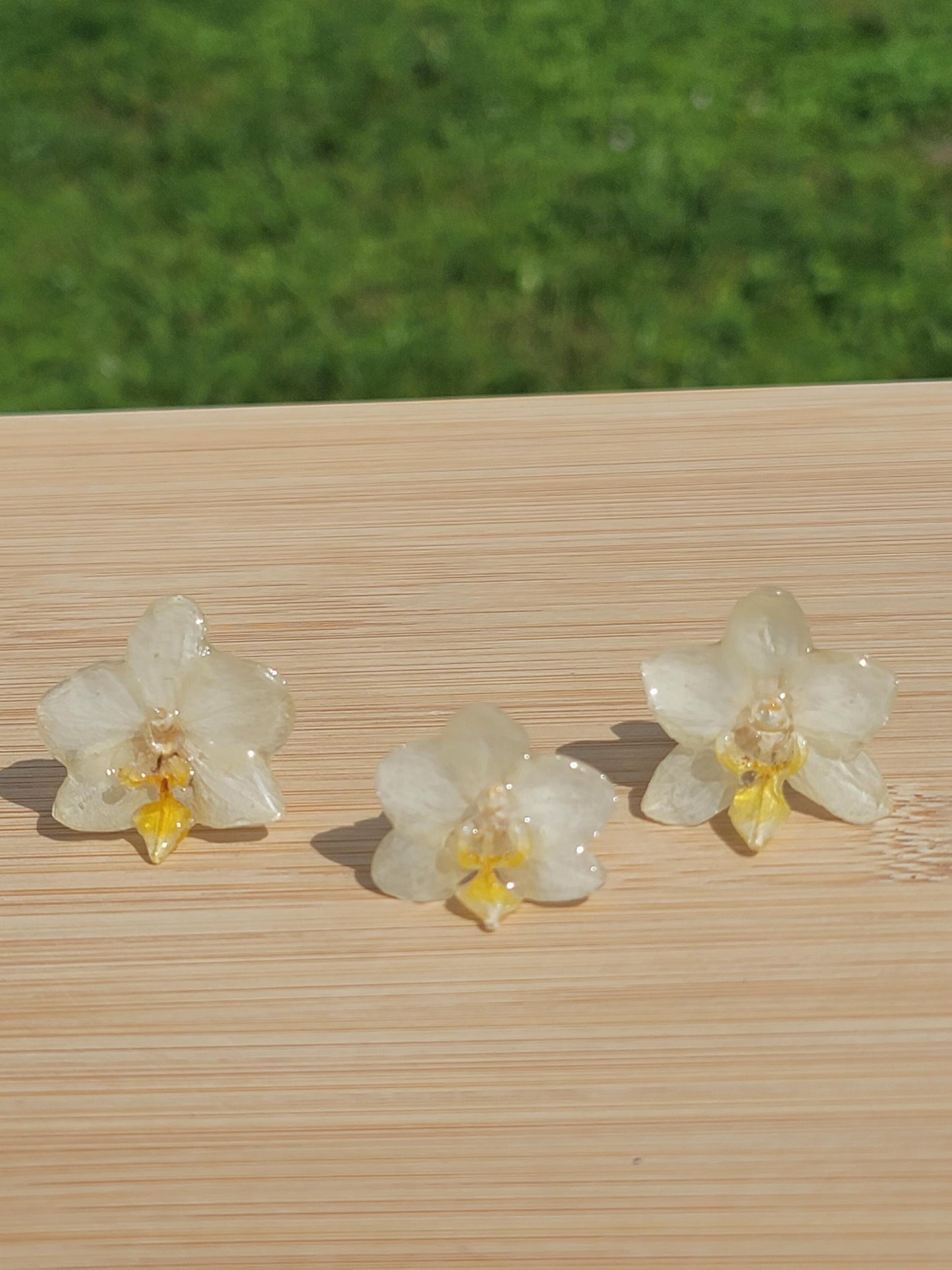 Real Pale Yellow Orchid Flower Ring