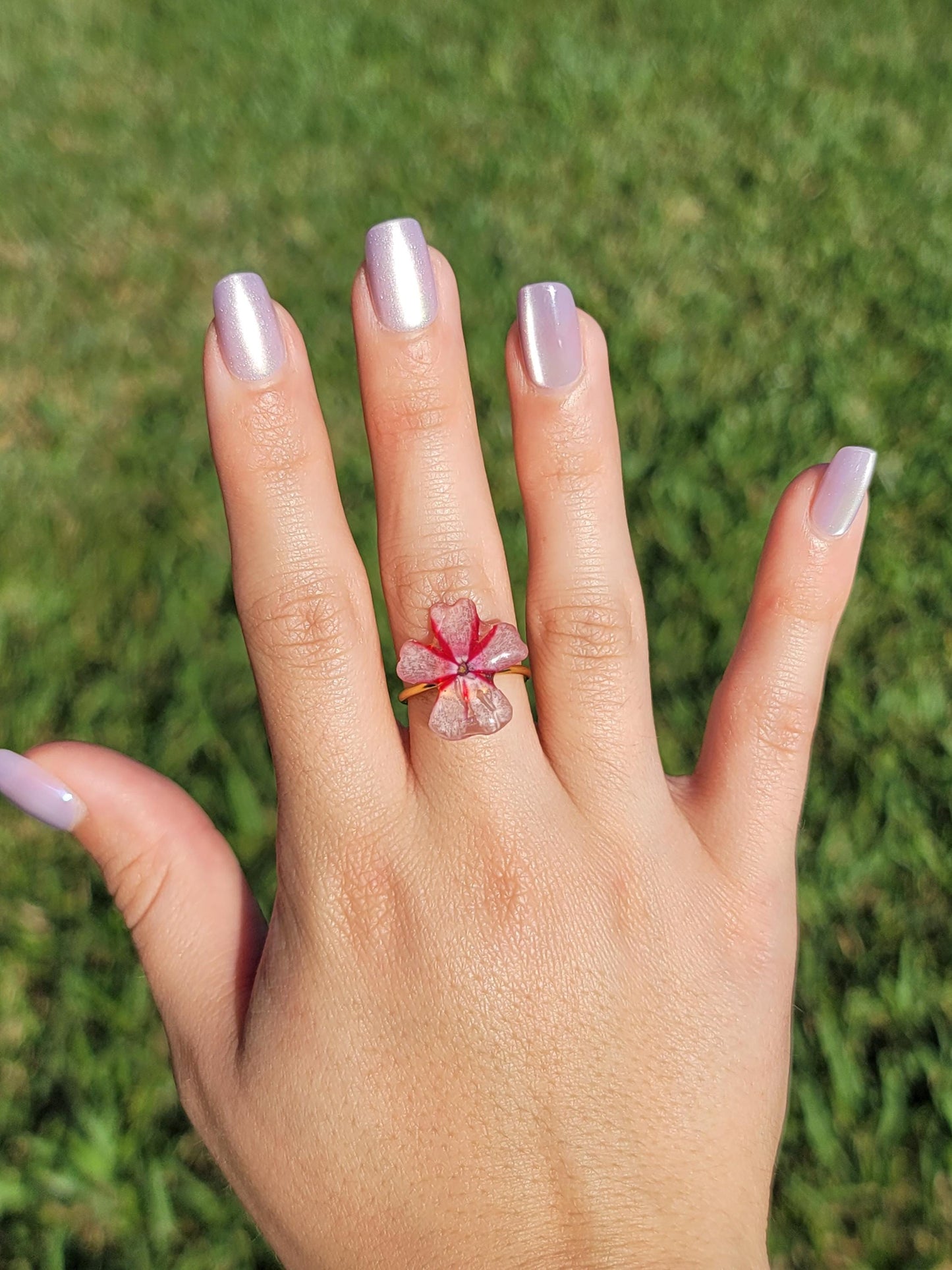 Real Pink Moss Phlox Flower Ring