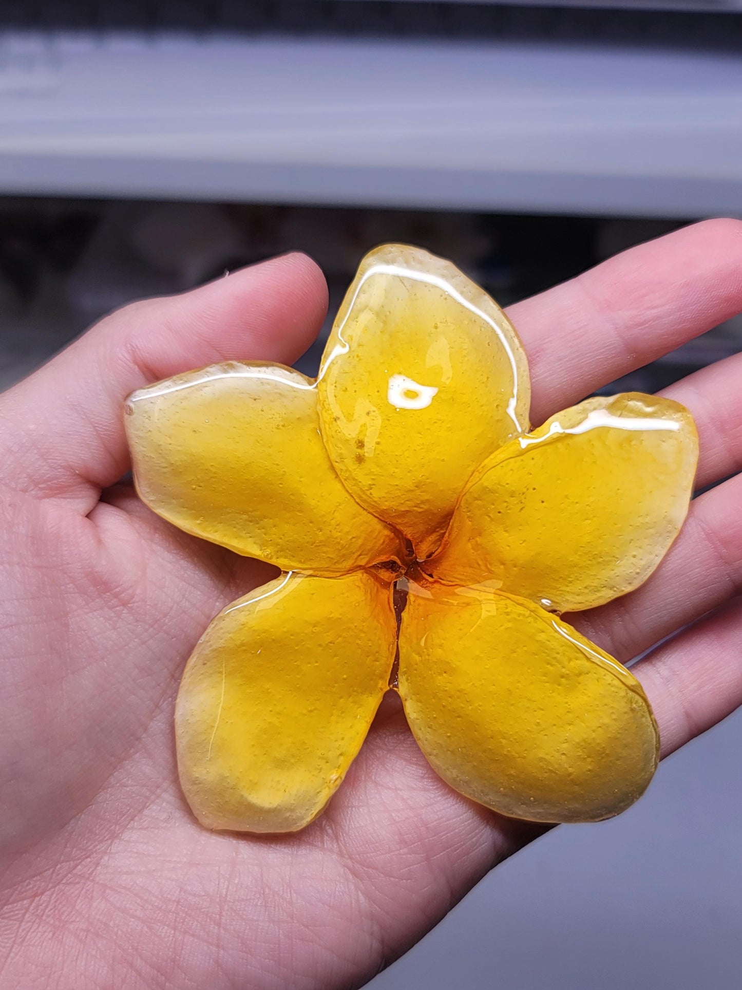 Bright Yellow Real Plumeria Flower Necklaces