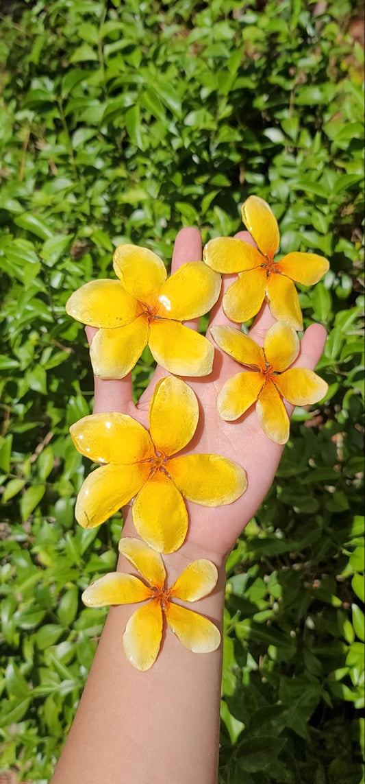 Bright Yellow Real Plumeria Flower Necklaces