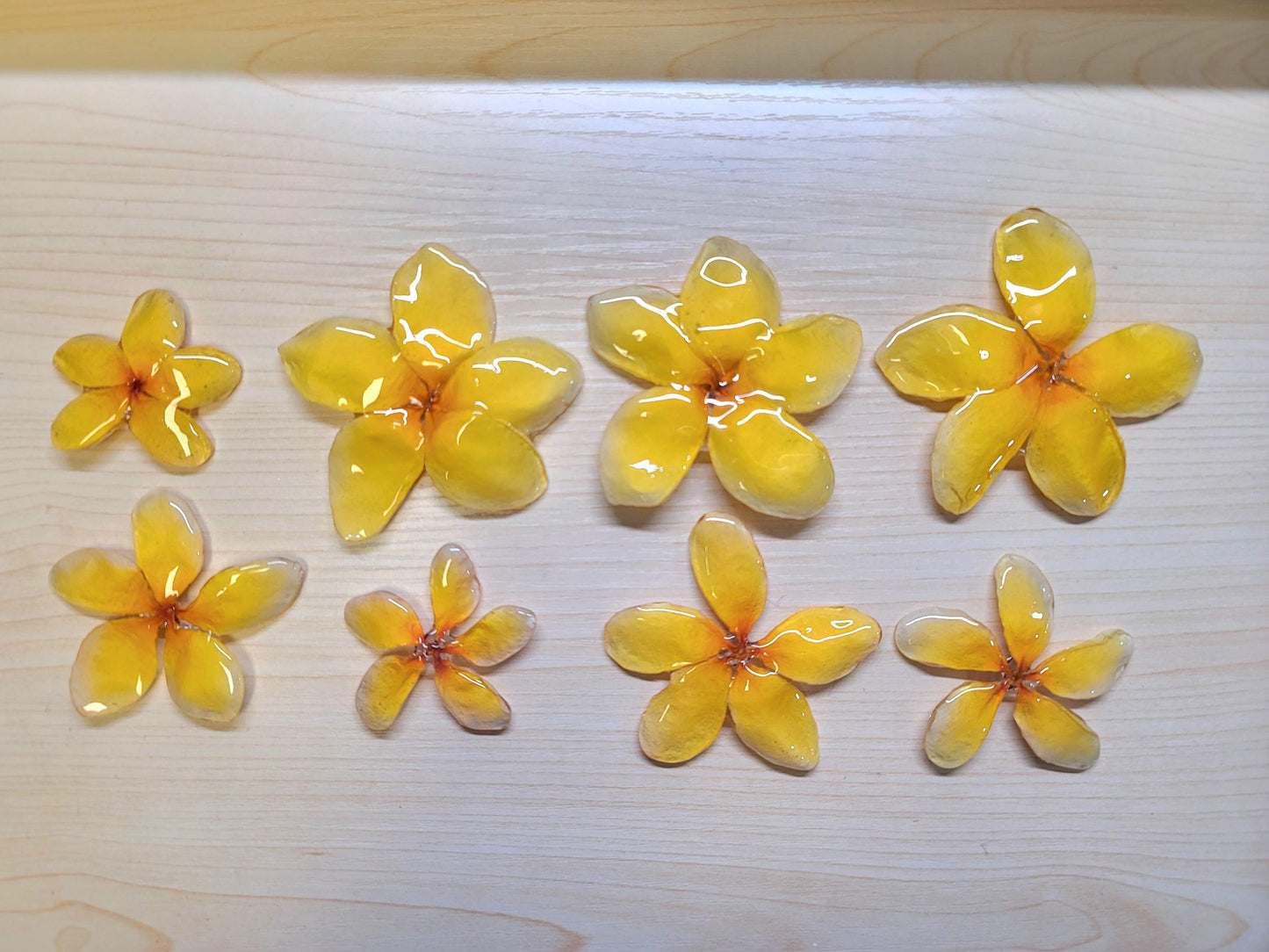Bright Yellow Real Plumeria Flower Necklaces