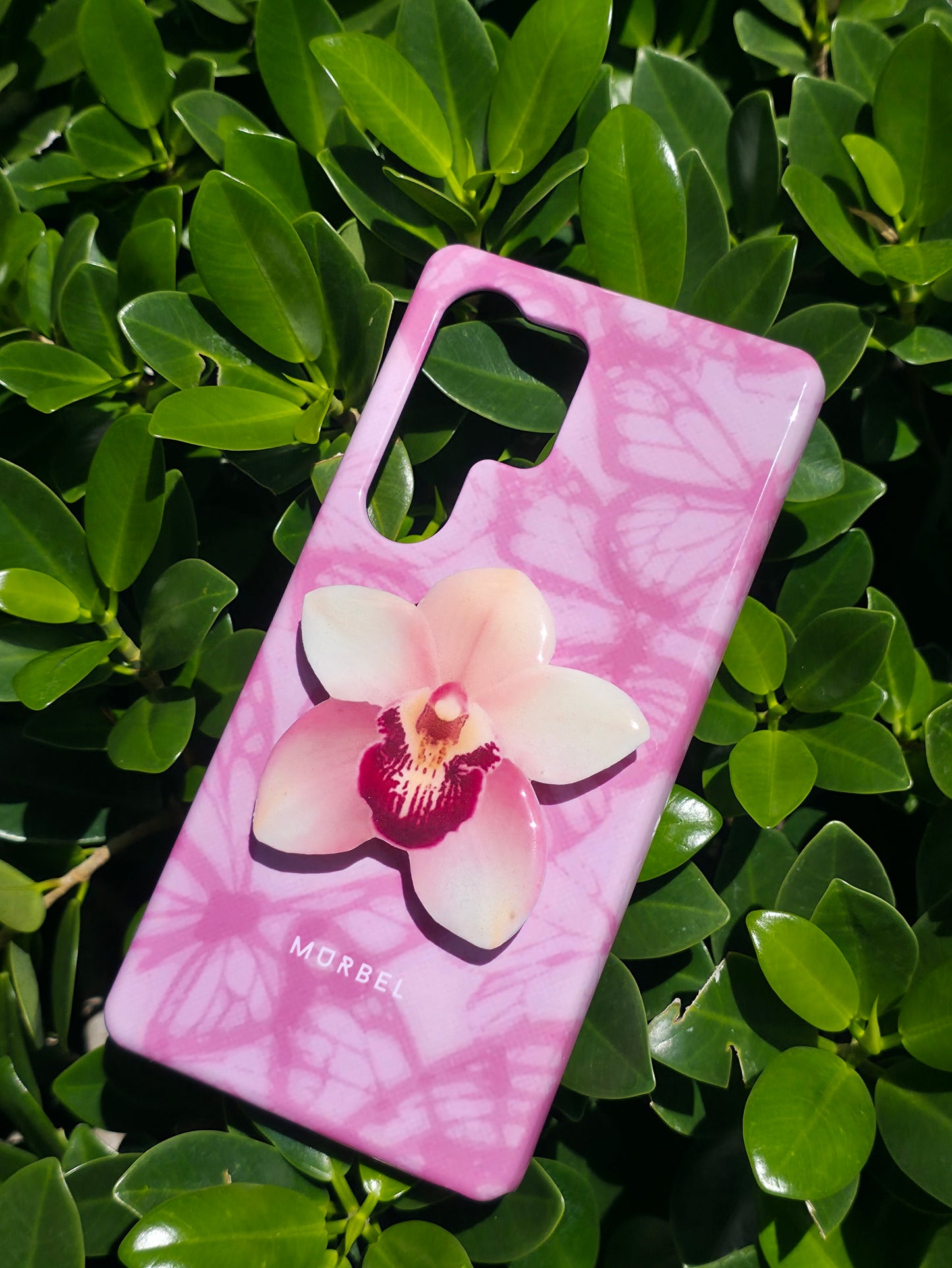 Cymbidium white orchid flower phone grip