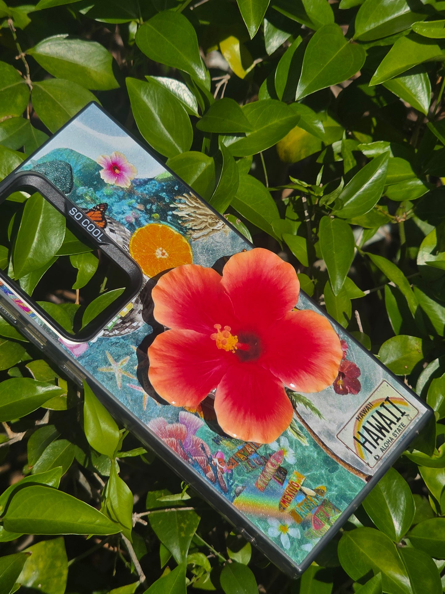 Orange red Hibiscus flower phone grip