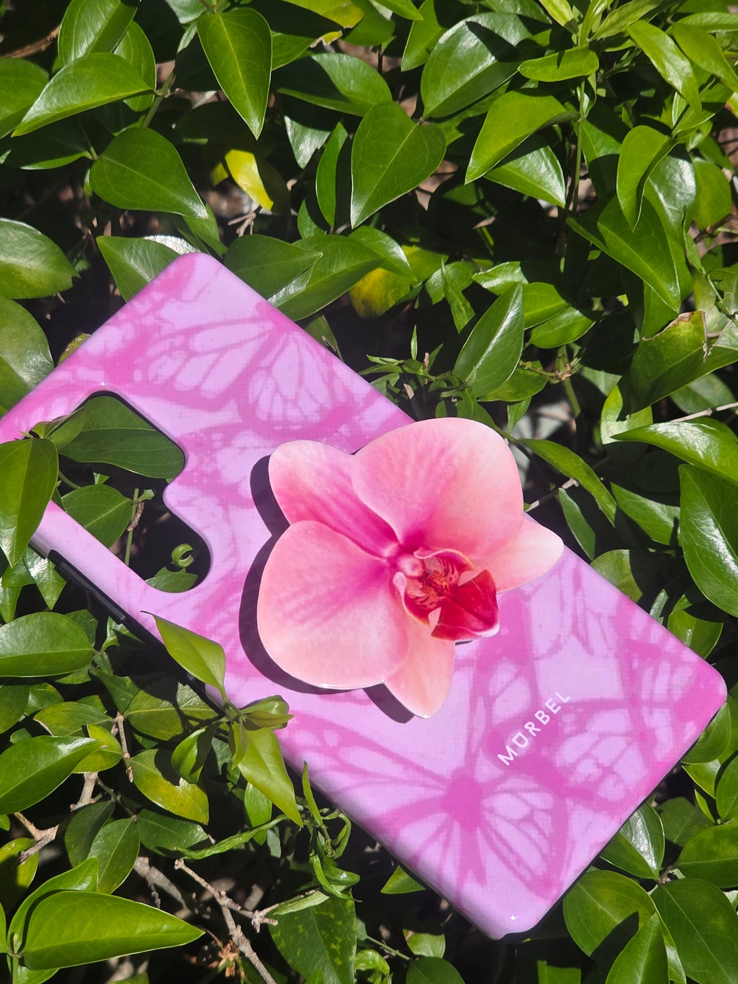 Light Pink Orchid flower phone grip