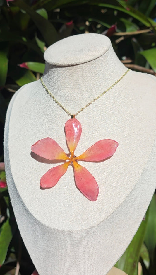 Light Pink-Yellow Real Plumeria Flower Necklace