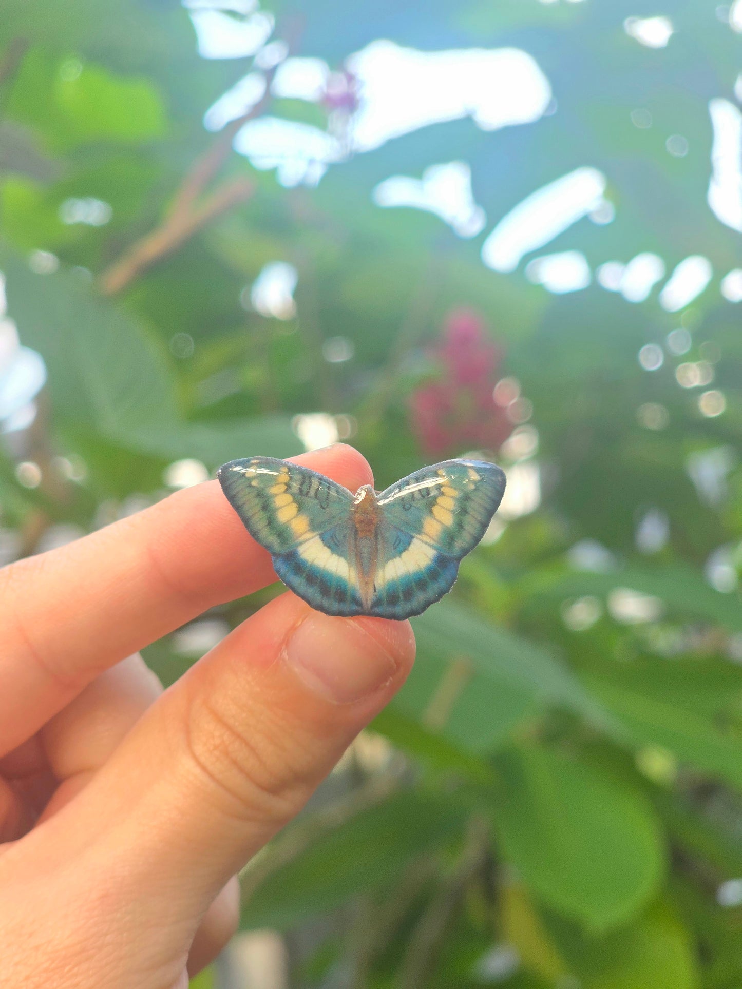 Butterfly shoe charms