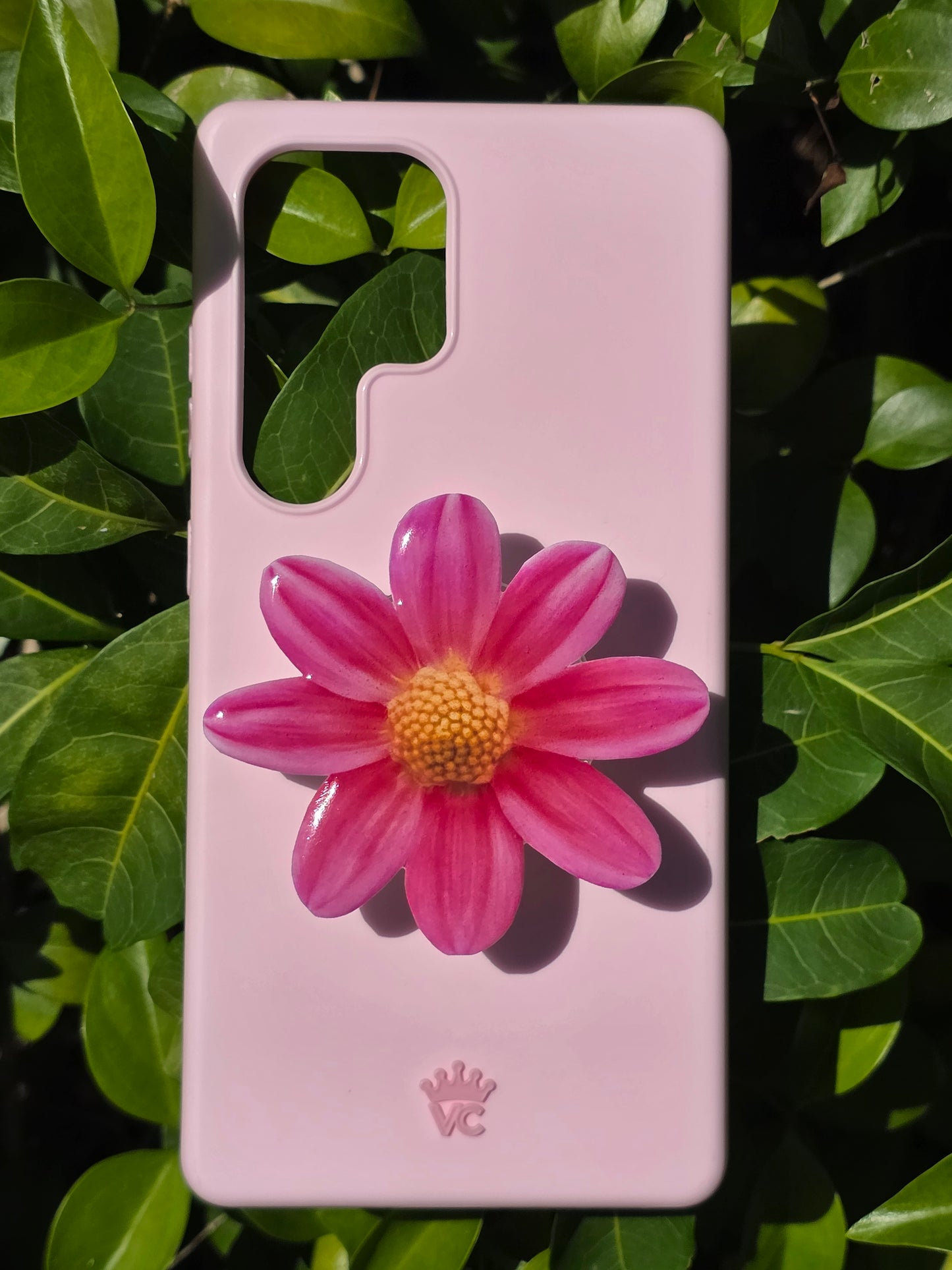 Pink Daisy flower phone grip