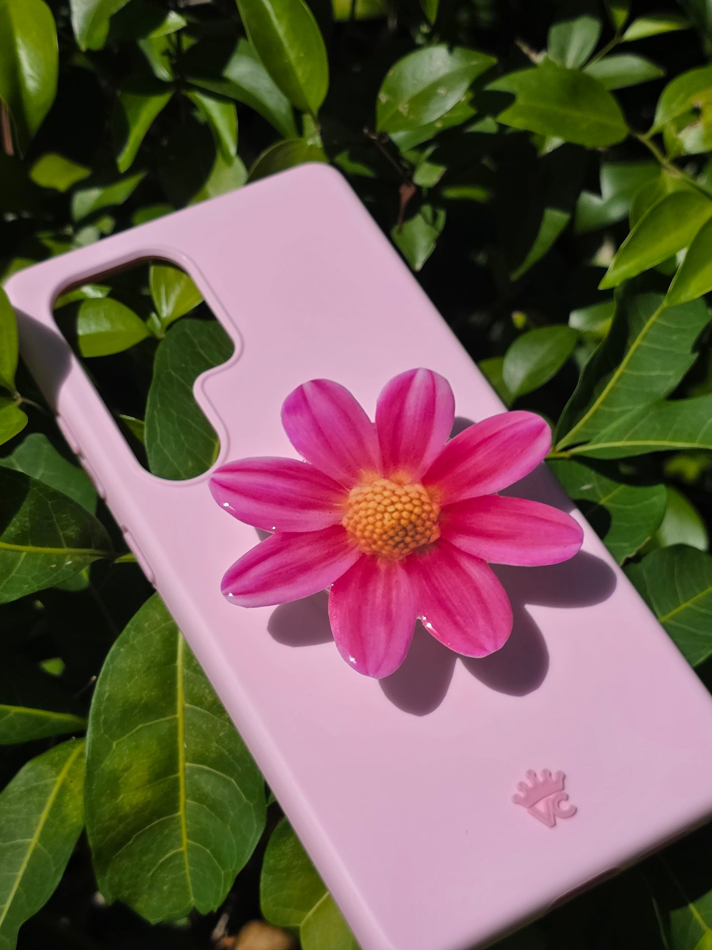 Pink Daisy flower phone grip
