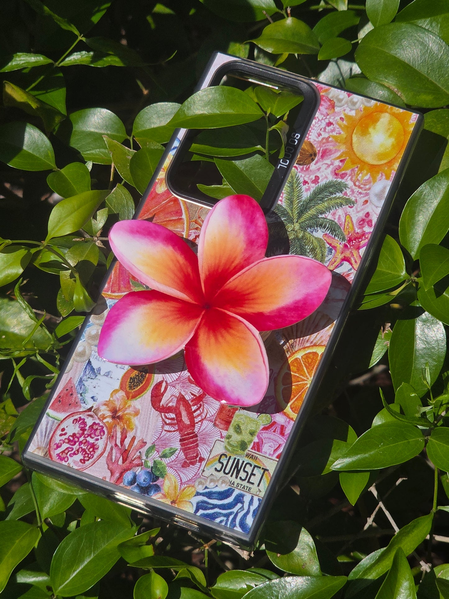 Tri-Color Plumeria flower phone grip