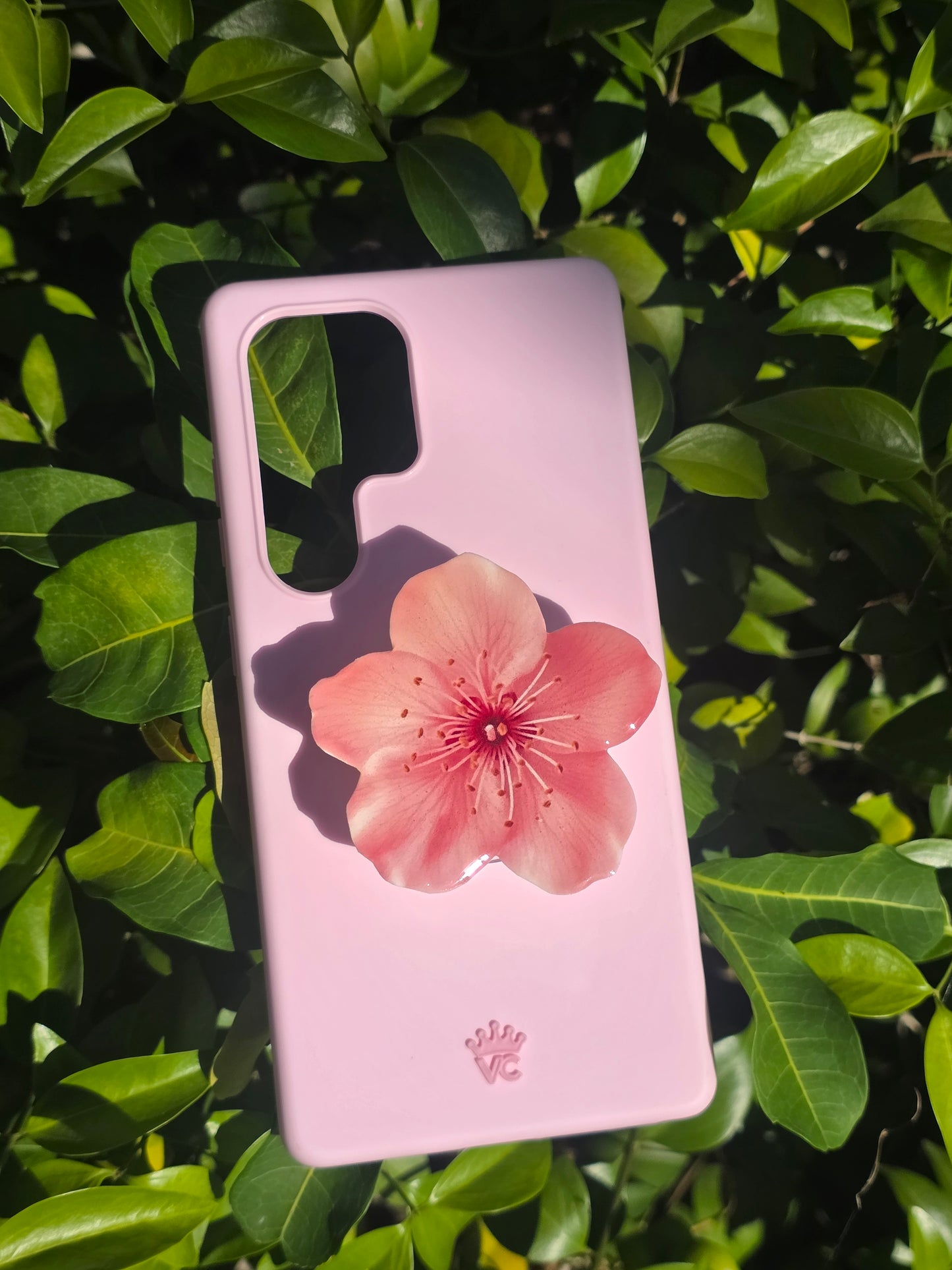 Pink Cherry Blossom flower phone grip
