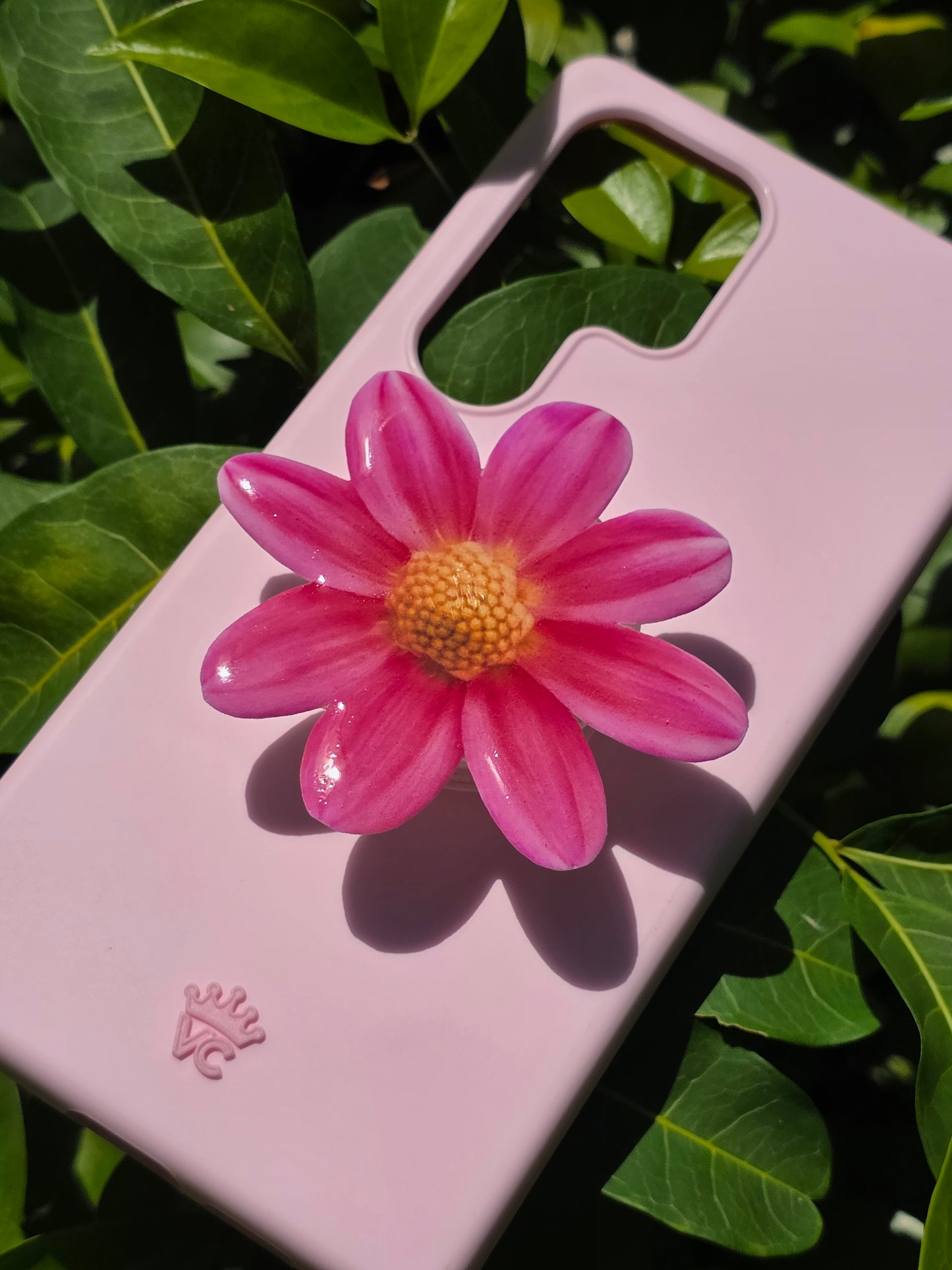Pink Daisy flower phone grip