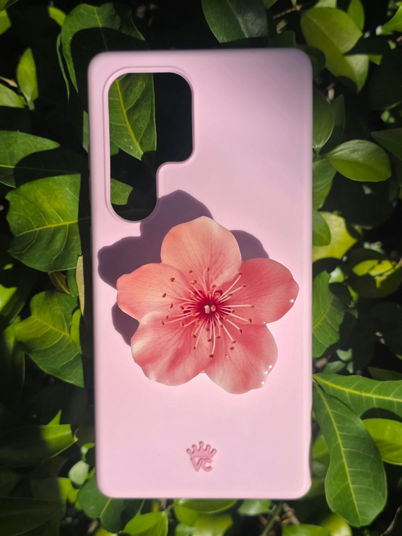 Pink Cherry Blossom flower phone grip