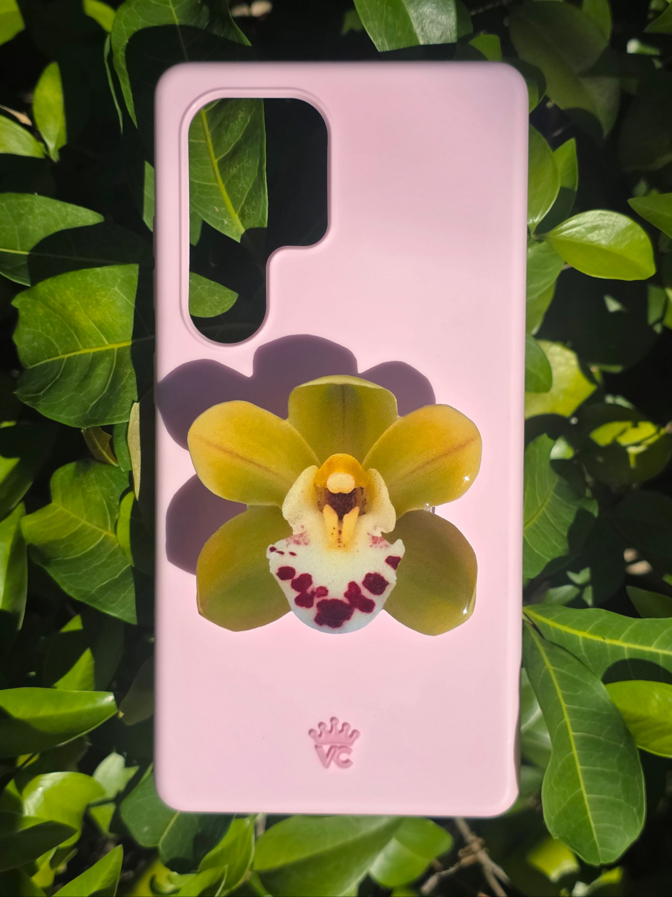 Green Cymbidium orchid flower phone grip