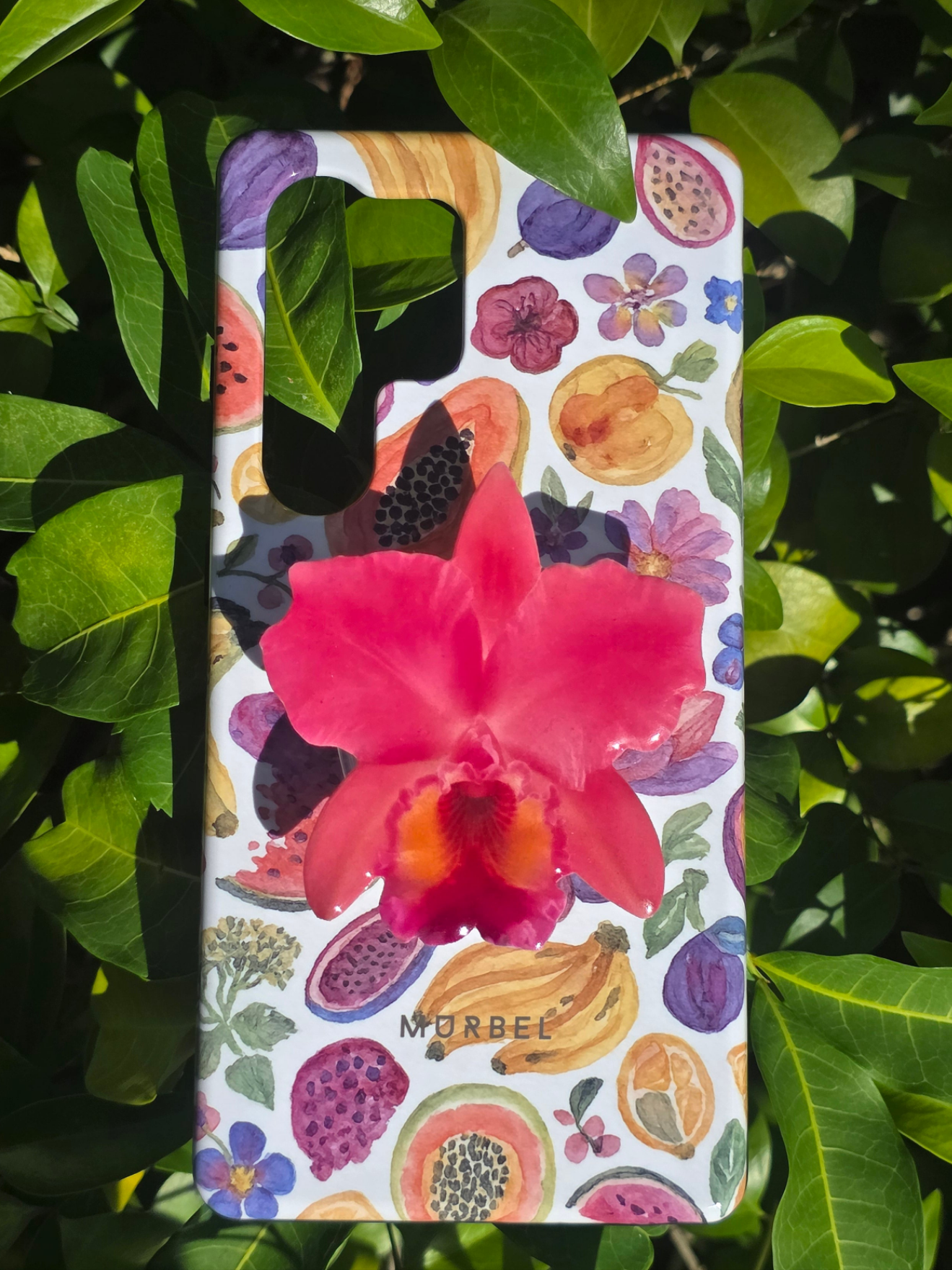 Pink Cattelya orchid flower phone grip