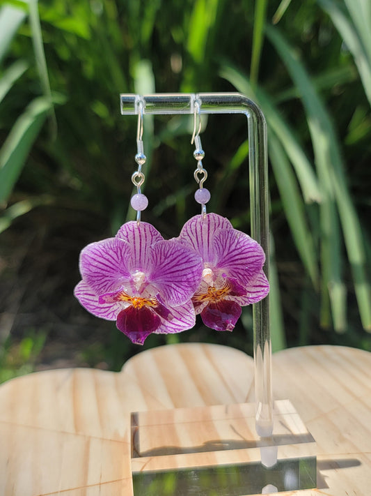 Real Preserved Purple Orchid Jewelry