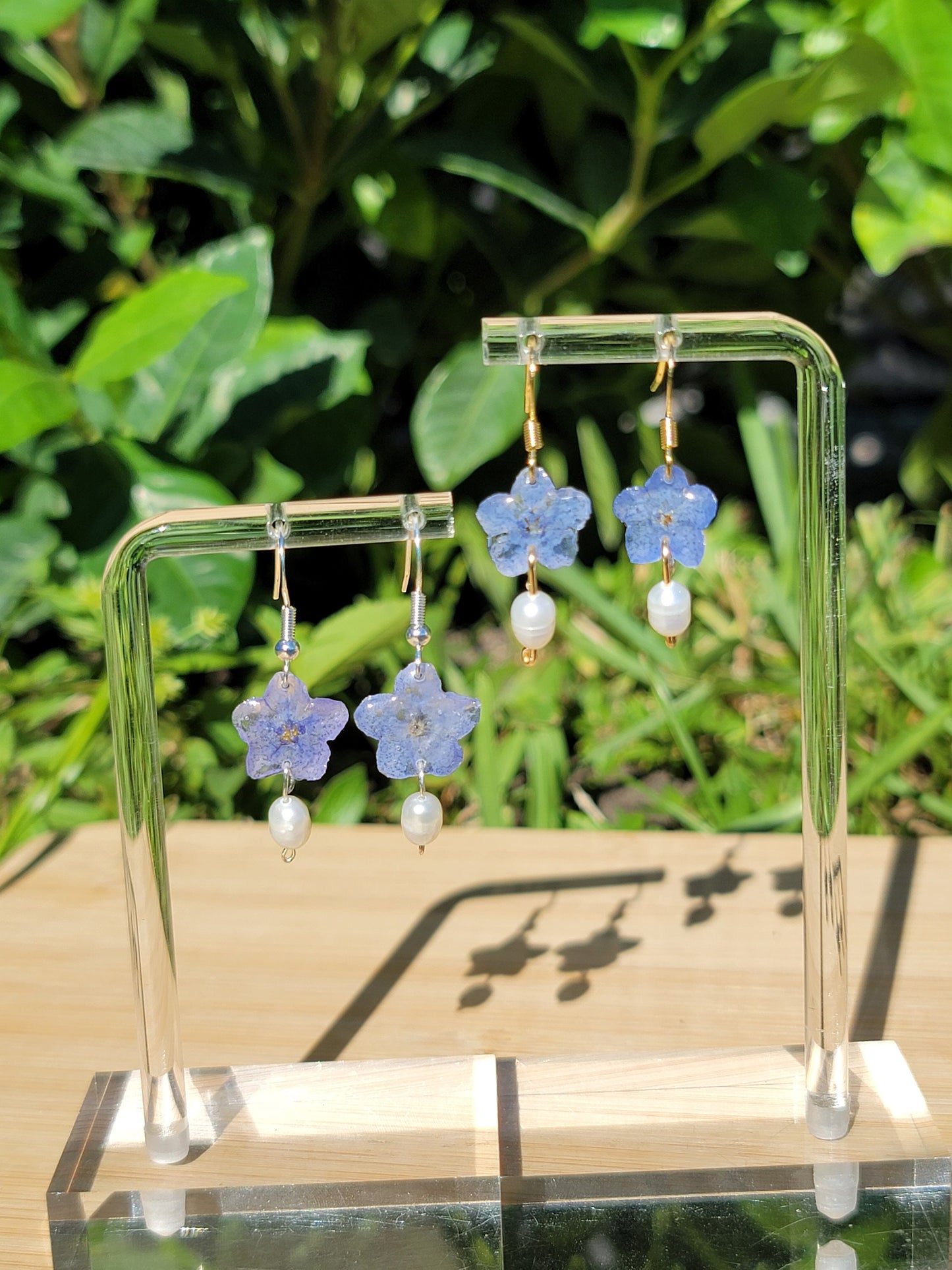 Blue Forget Me Not Real Flower Earrings