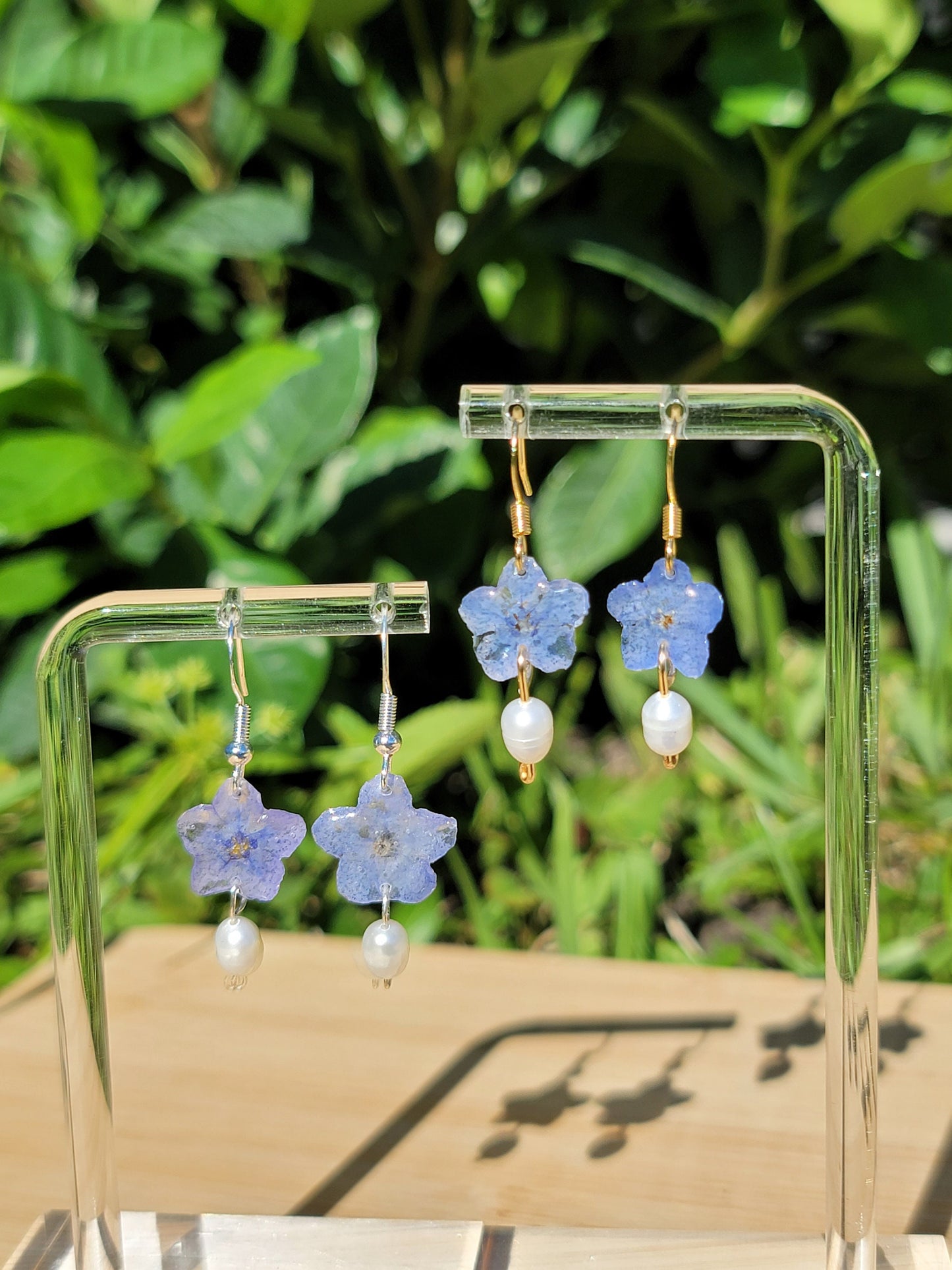 Blue Forget Me Not Real Flower Earrings