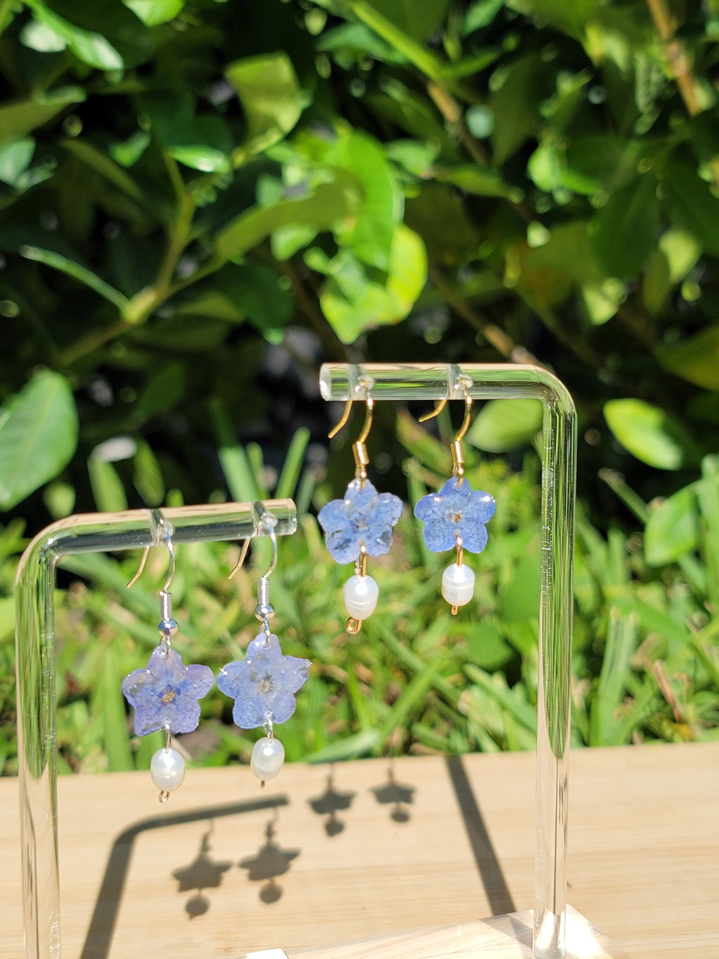 Blue Forget Me Not Real Flower Earrings