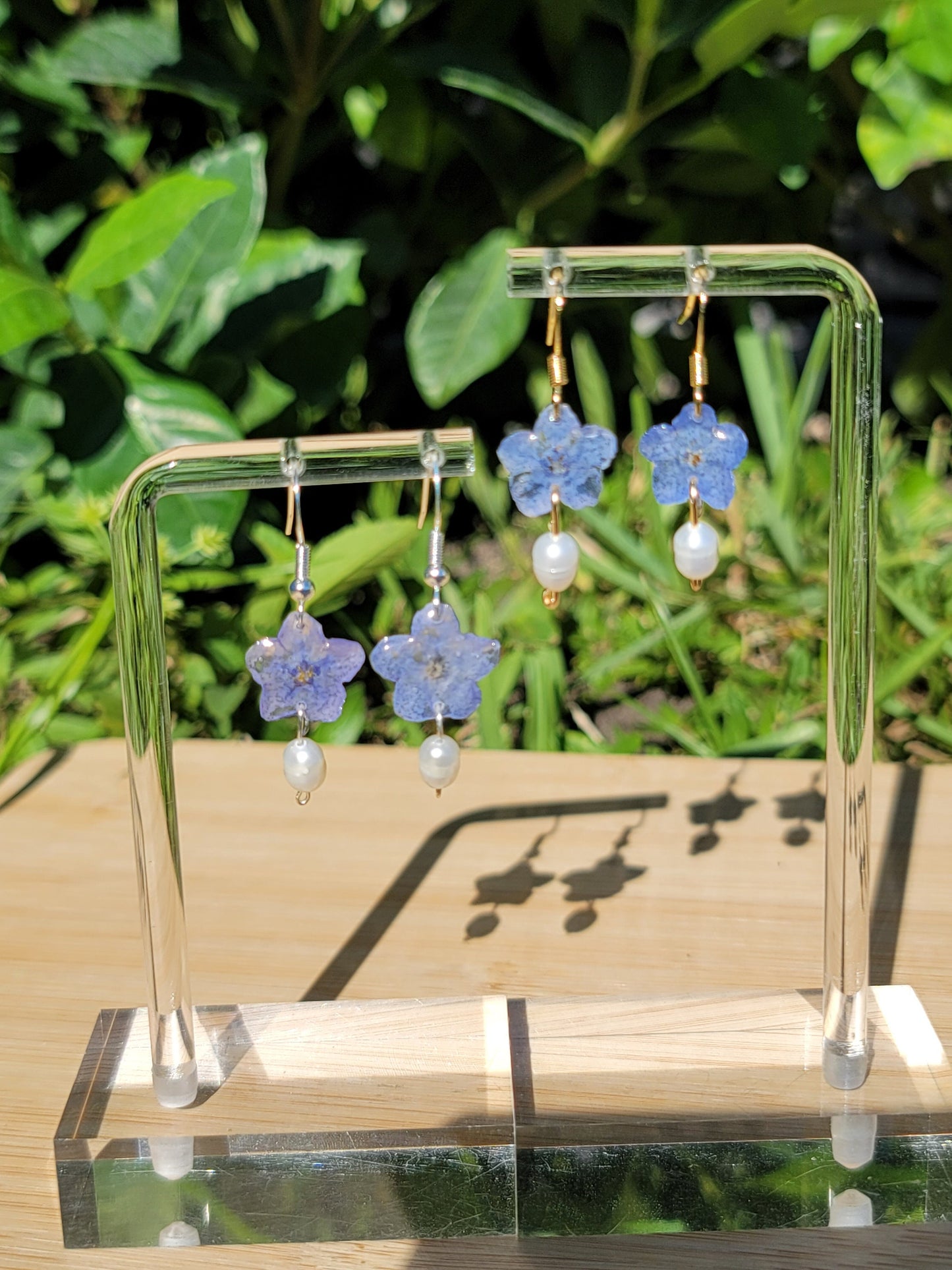 Blue Forget Me Not Real Flower Earrings