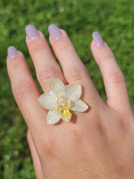 Real Pale Yellow Orchid Flower Ring