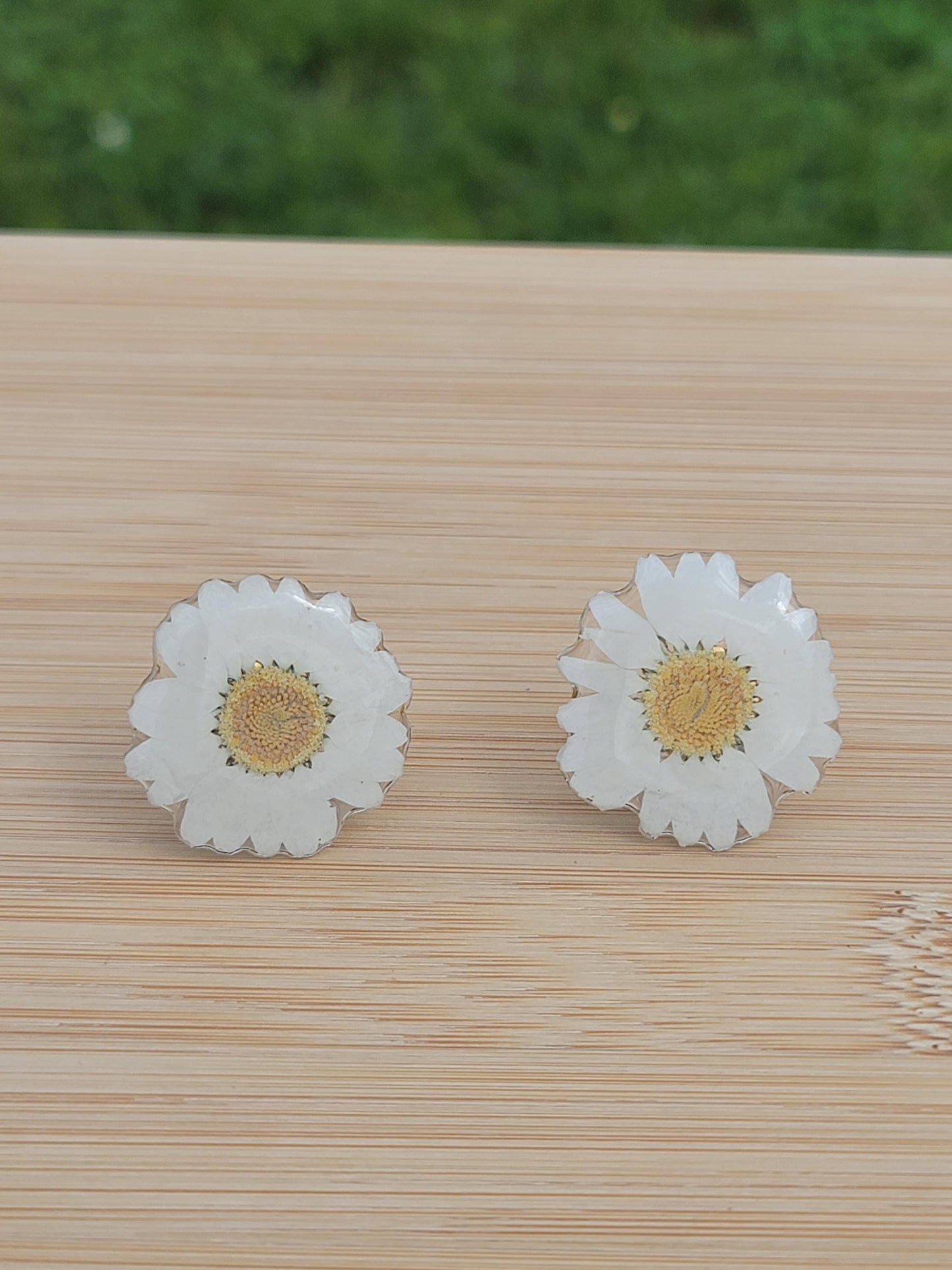 Real Daisy Flower Ring