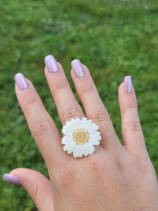 Real Daisy Flower Ring