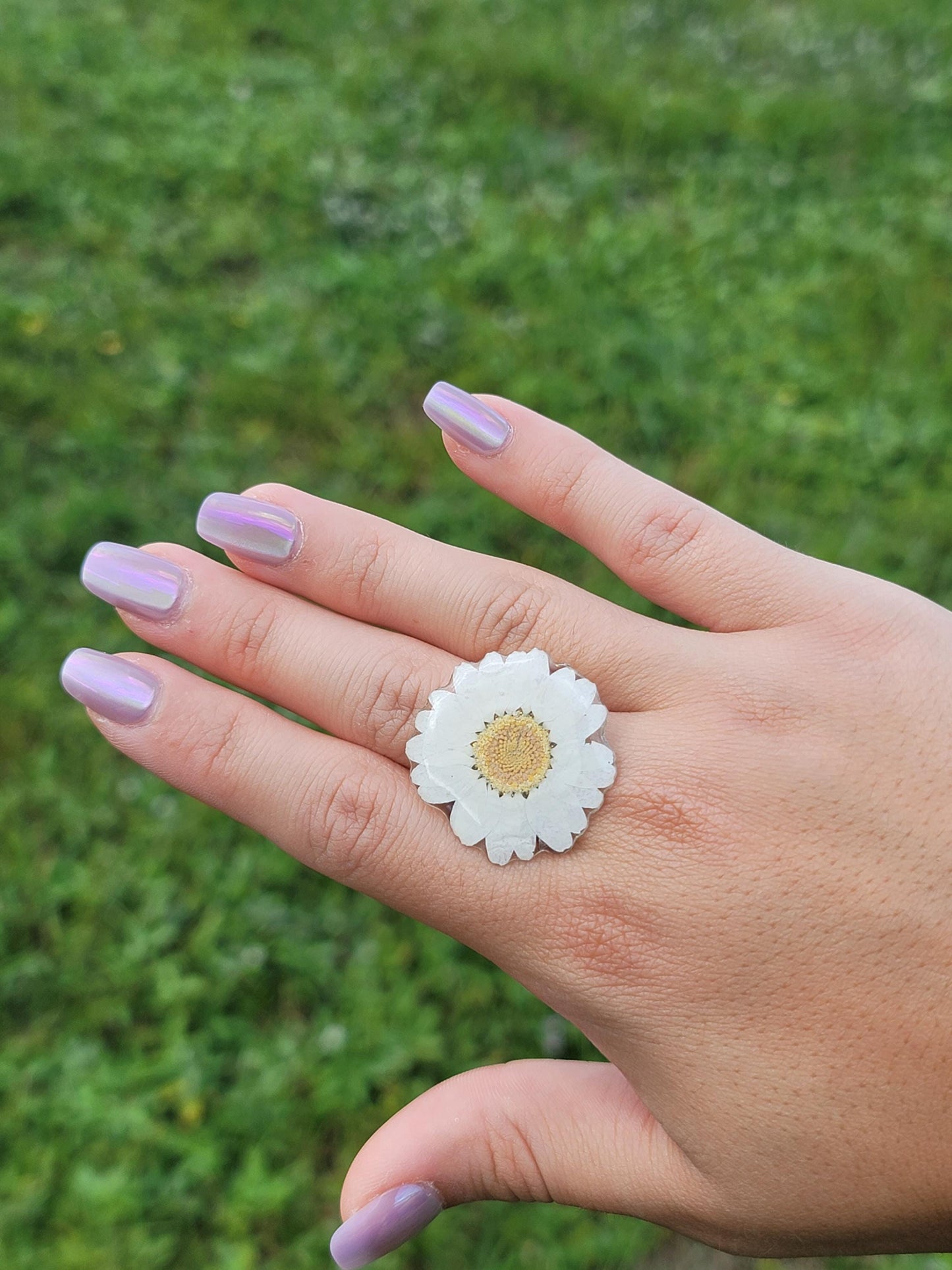 Real Daisy Flower Ring