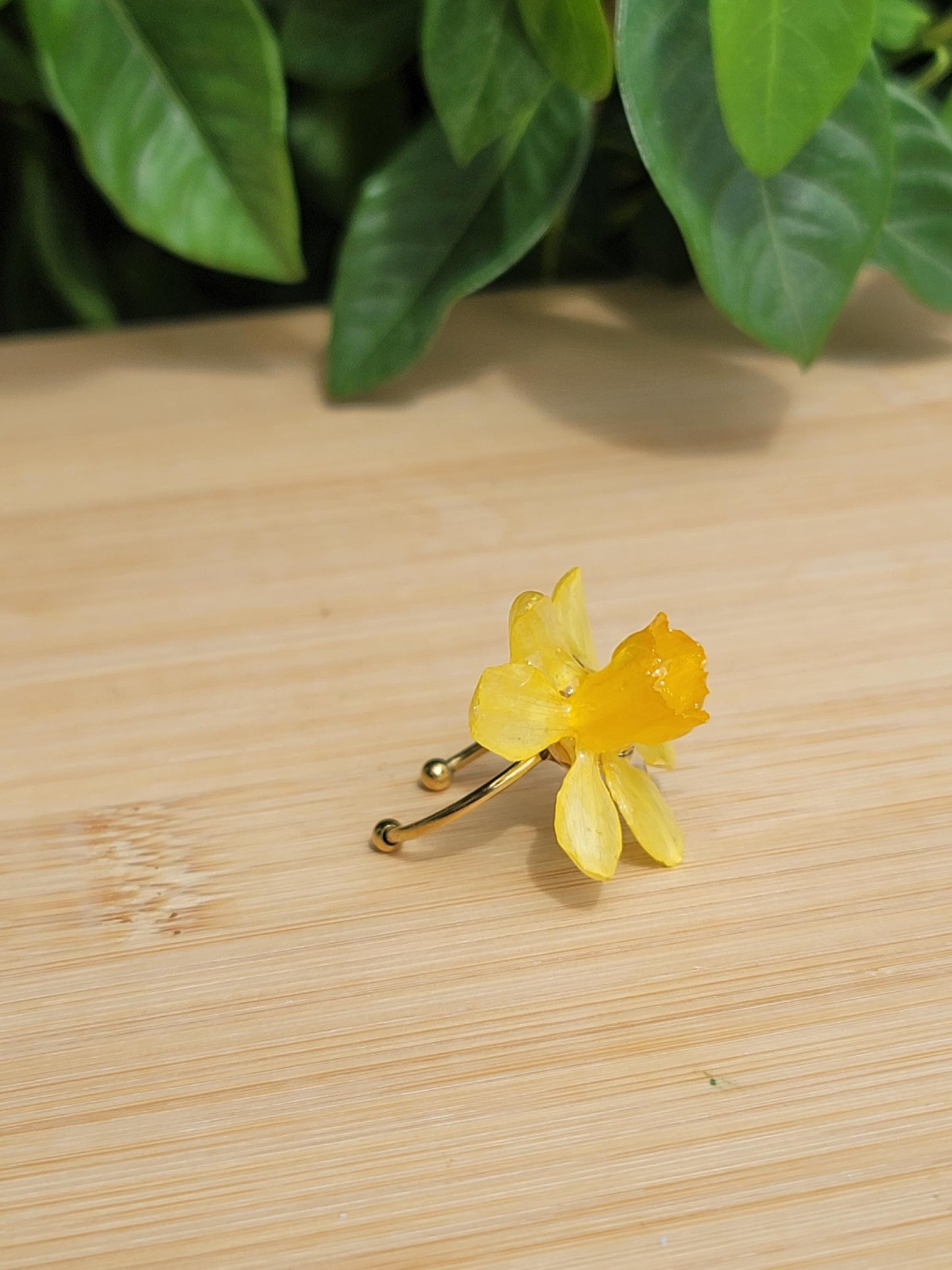 Real Daffodil Flower Adjustable Ring