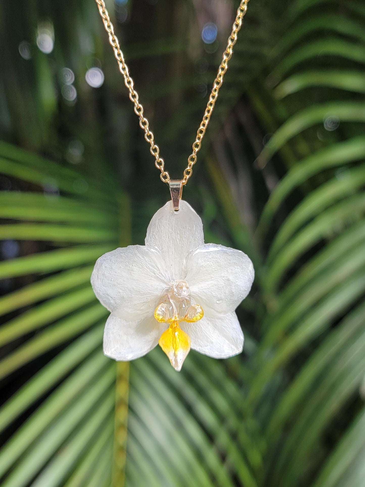 Real Preserved Pale Yellow Mini Orchid 18k Gold Plated Necklace