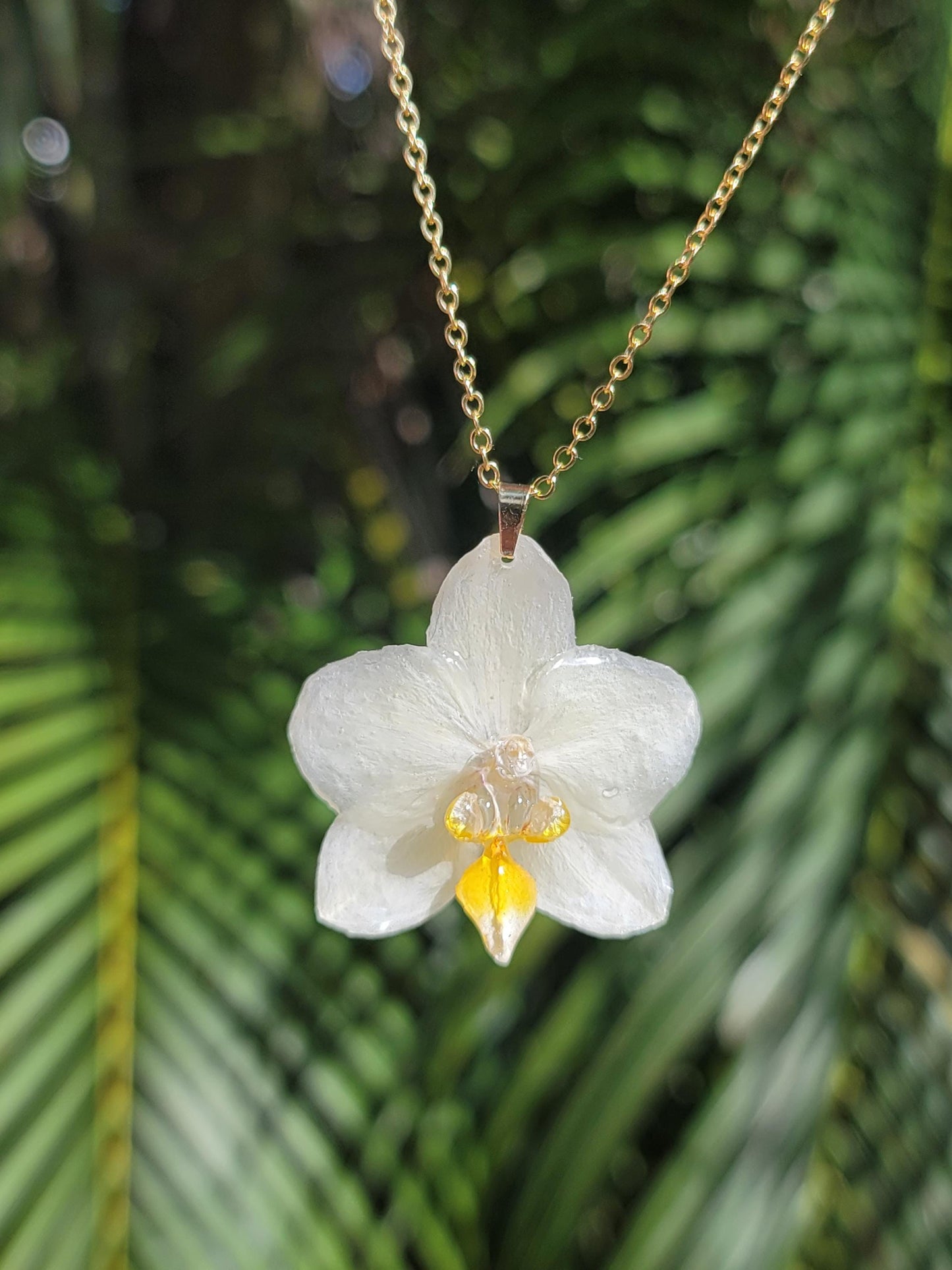 Real Preserved Pale Yellow Mini Orchid 18k Gold Plated Necklace