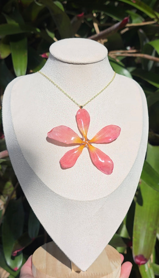 Light Pink-Yellow Real Plumeria Flower Necklace