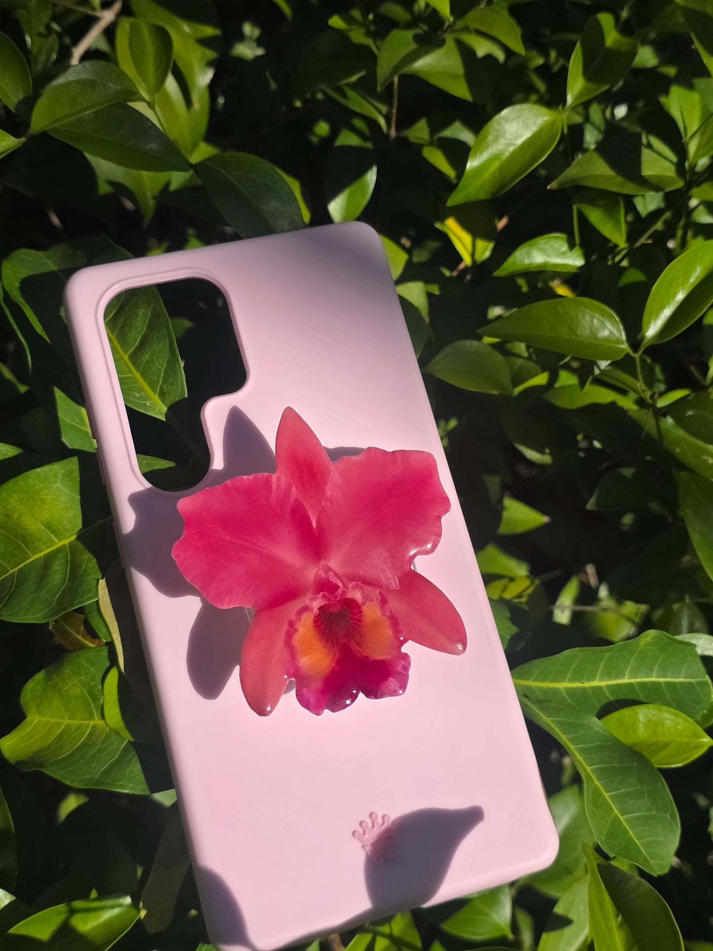 Pink Cattelya orchid flower phone grip