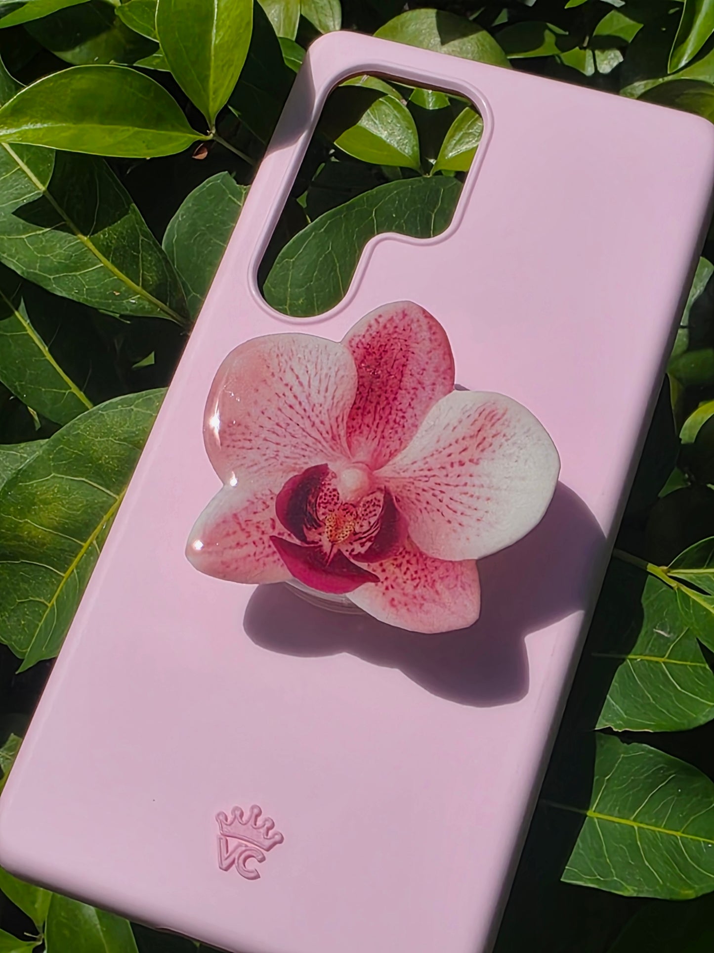 Pink Phalaenopsis orchid flower phone grip