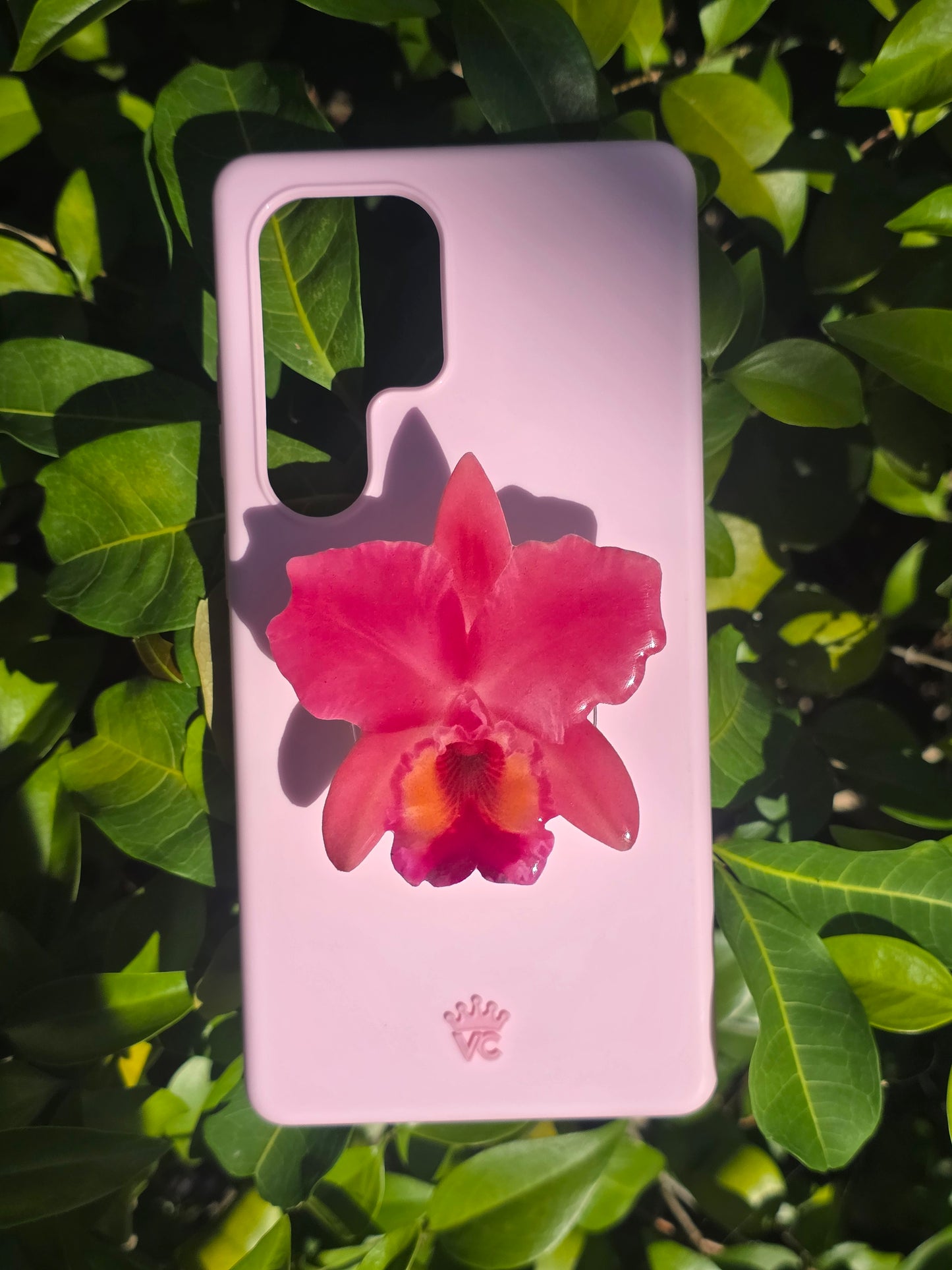 Pink Cattelya orchid flower phone grip