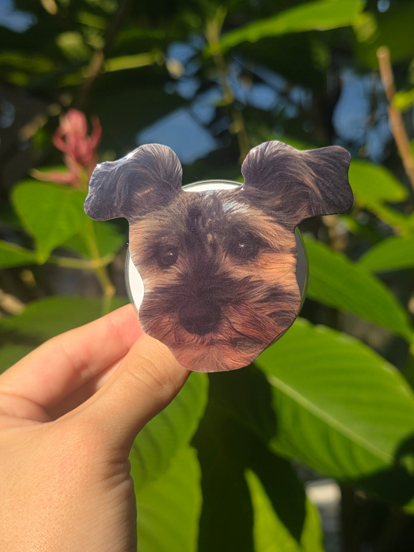 Custom Pet Phone Grips