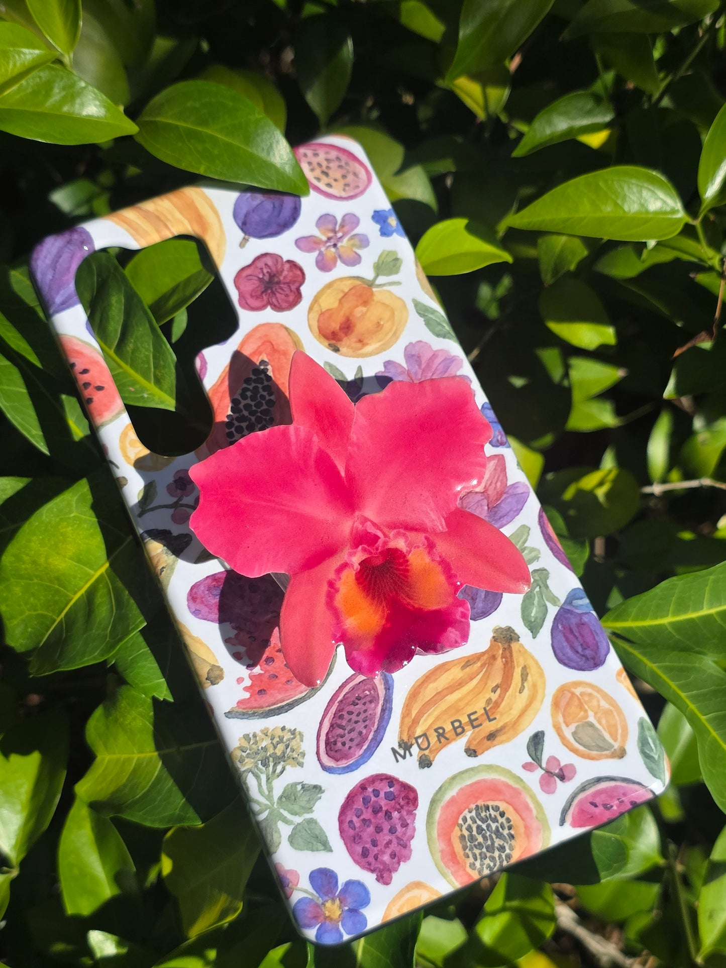 Pink Cattelya orchid flower phone grip