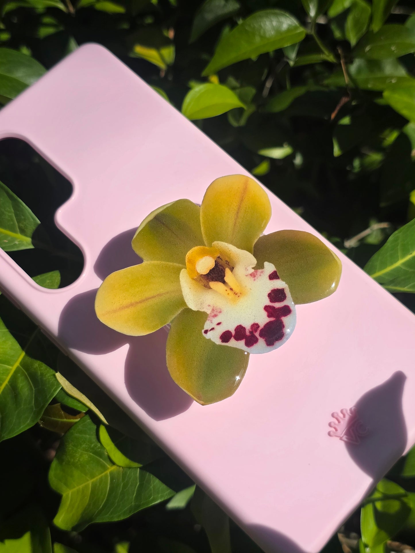 Green Cymbidium orchid flower phone grip