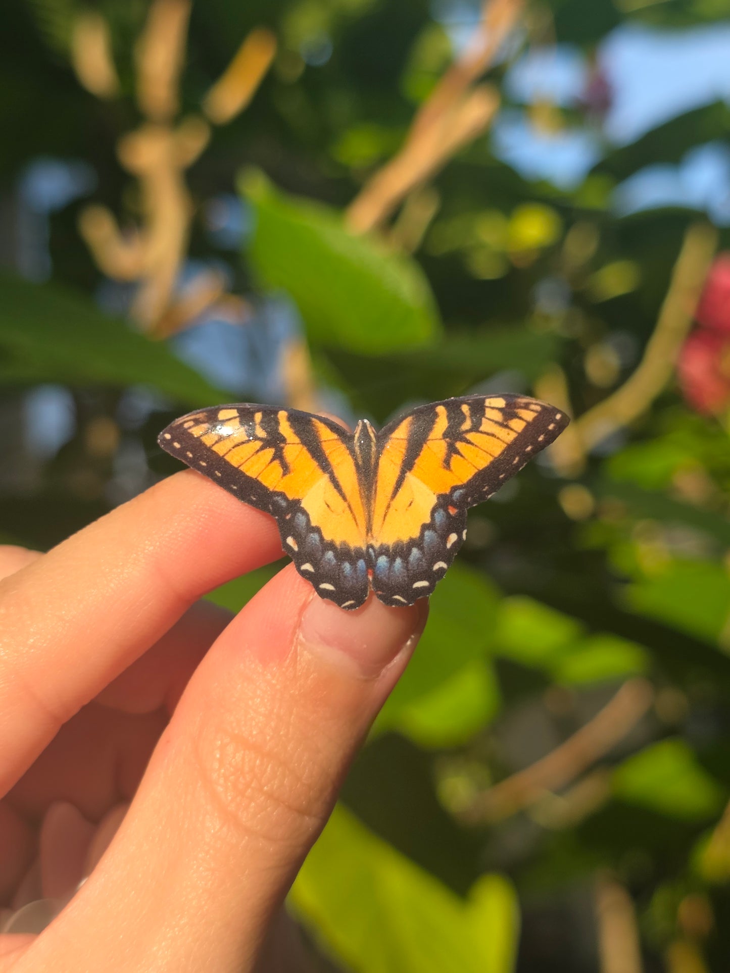 Butterfly shoe charms