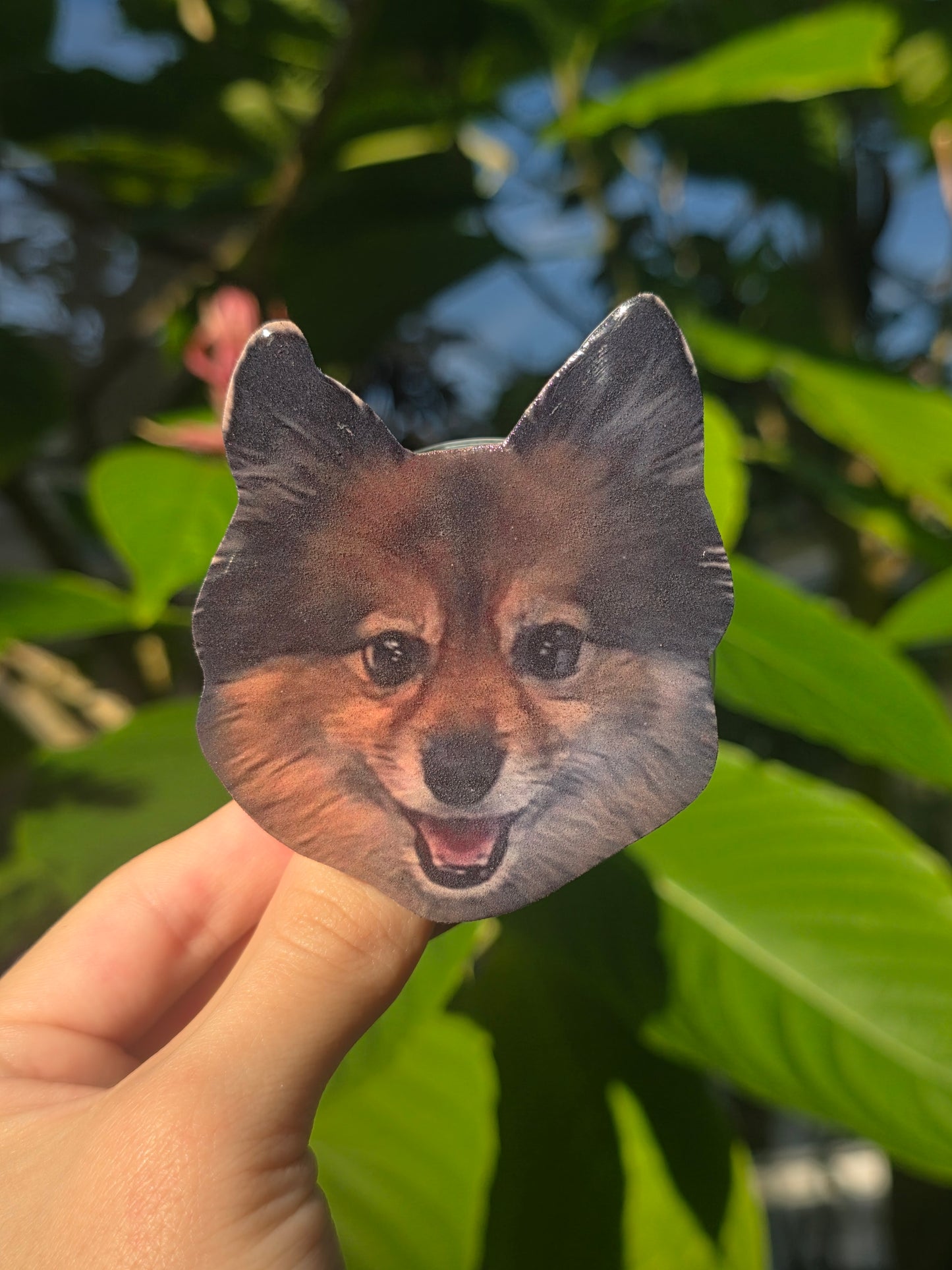 Custom Pet Phone Grips