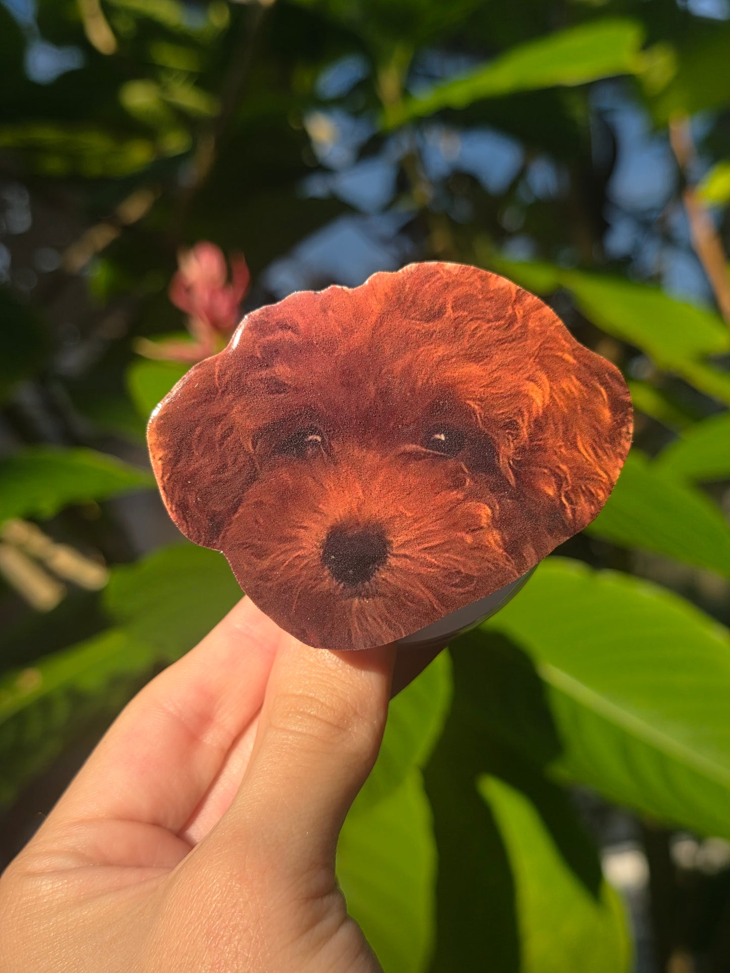 Custom Pet Phone Grips