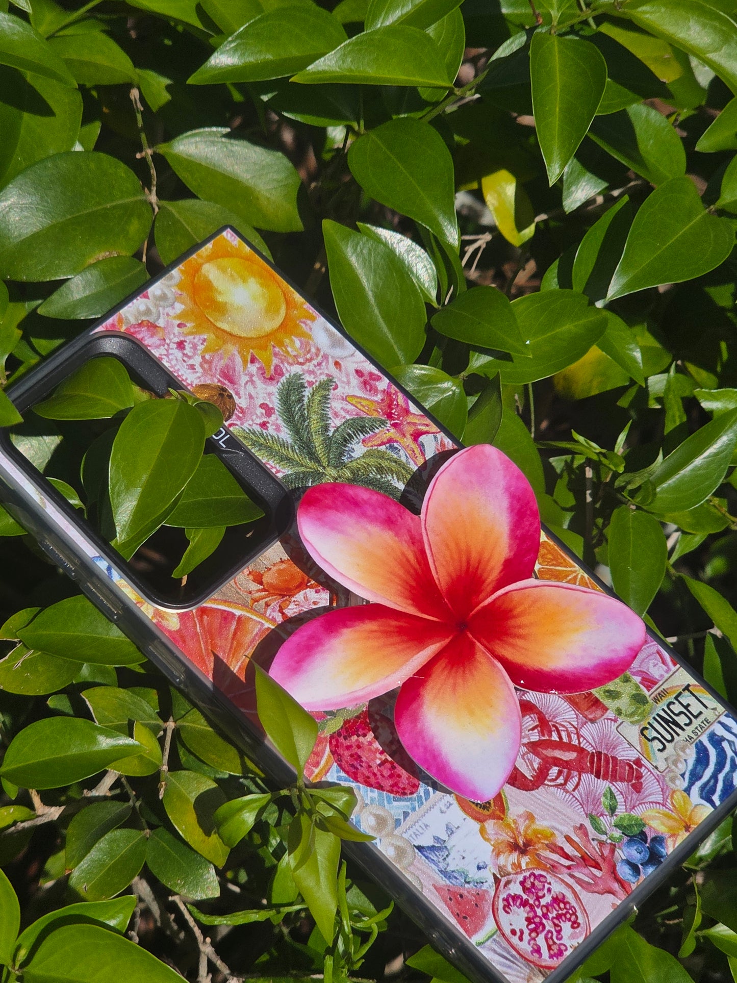 Tri-Color Plumeria flower phone grip