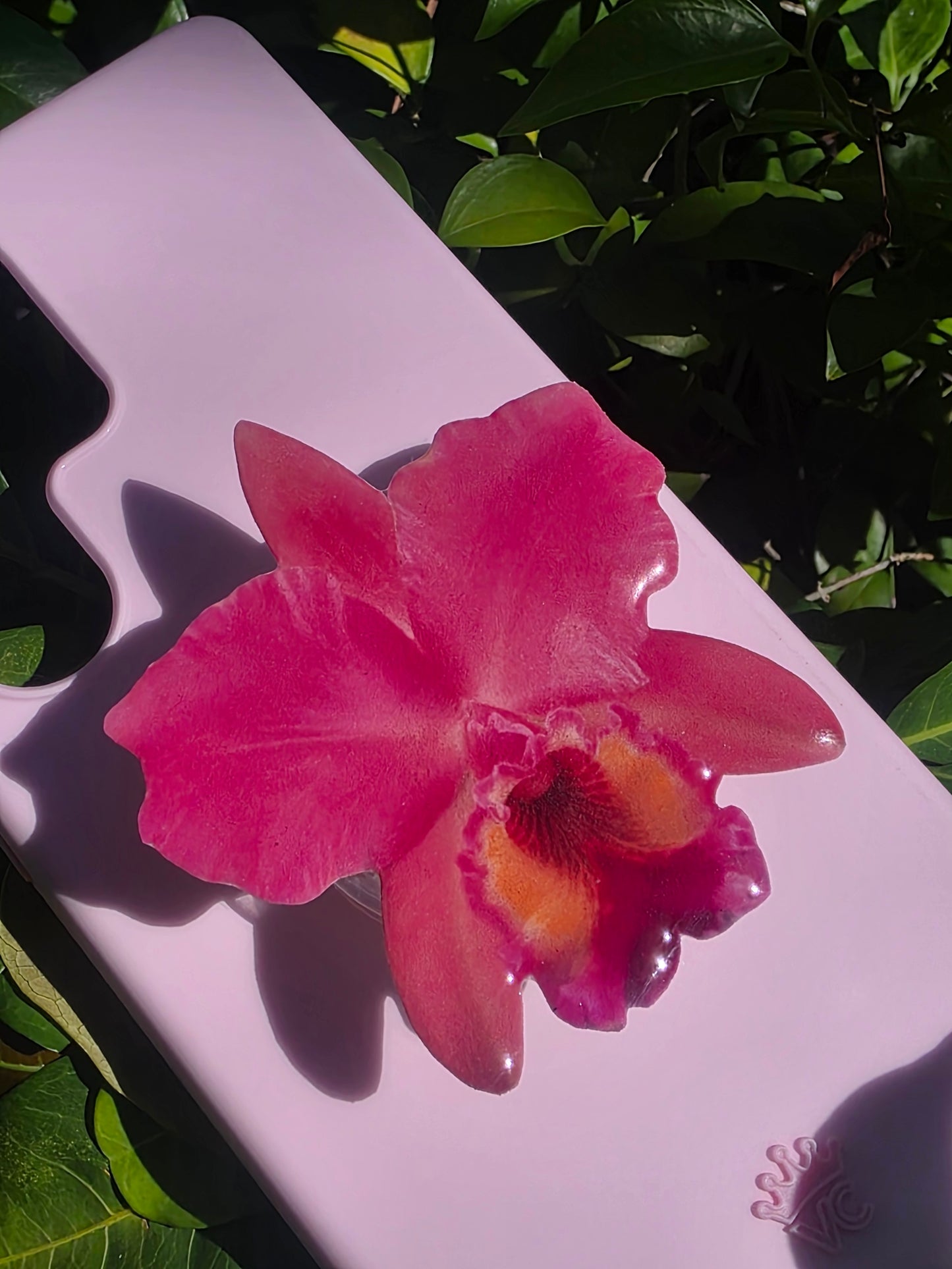 Pink Cattelya orchid flower phone grip