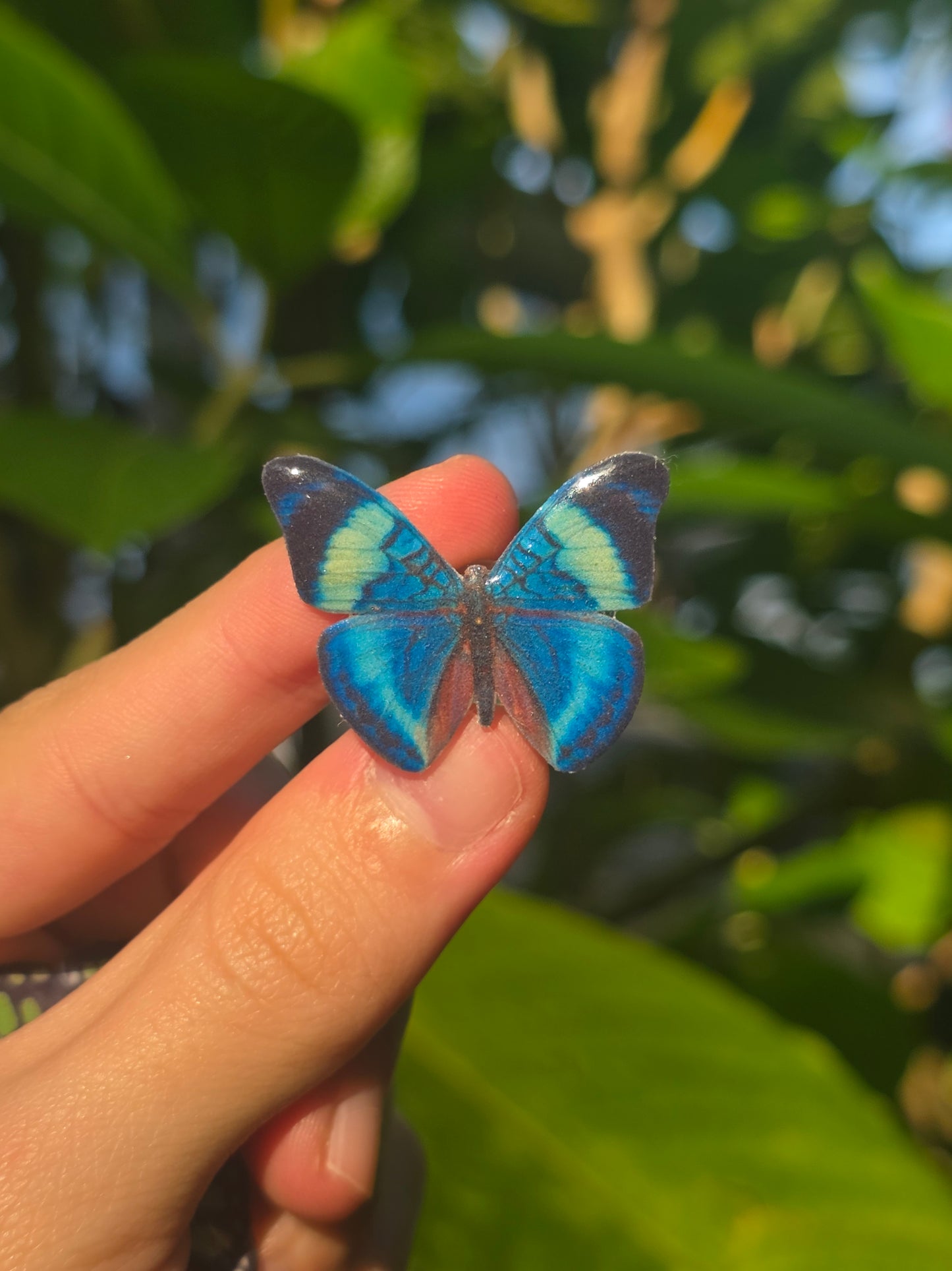 Butterfly shoe charms