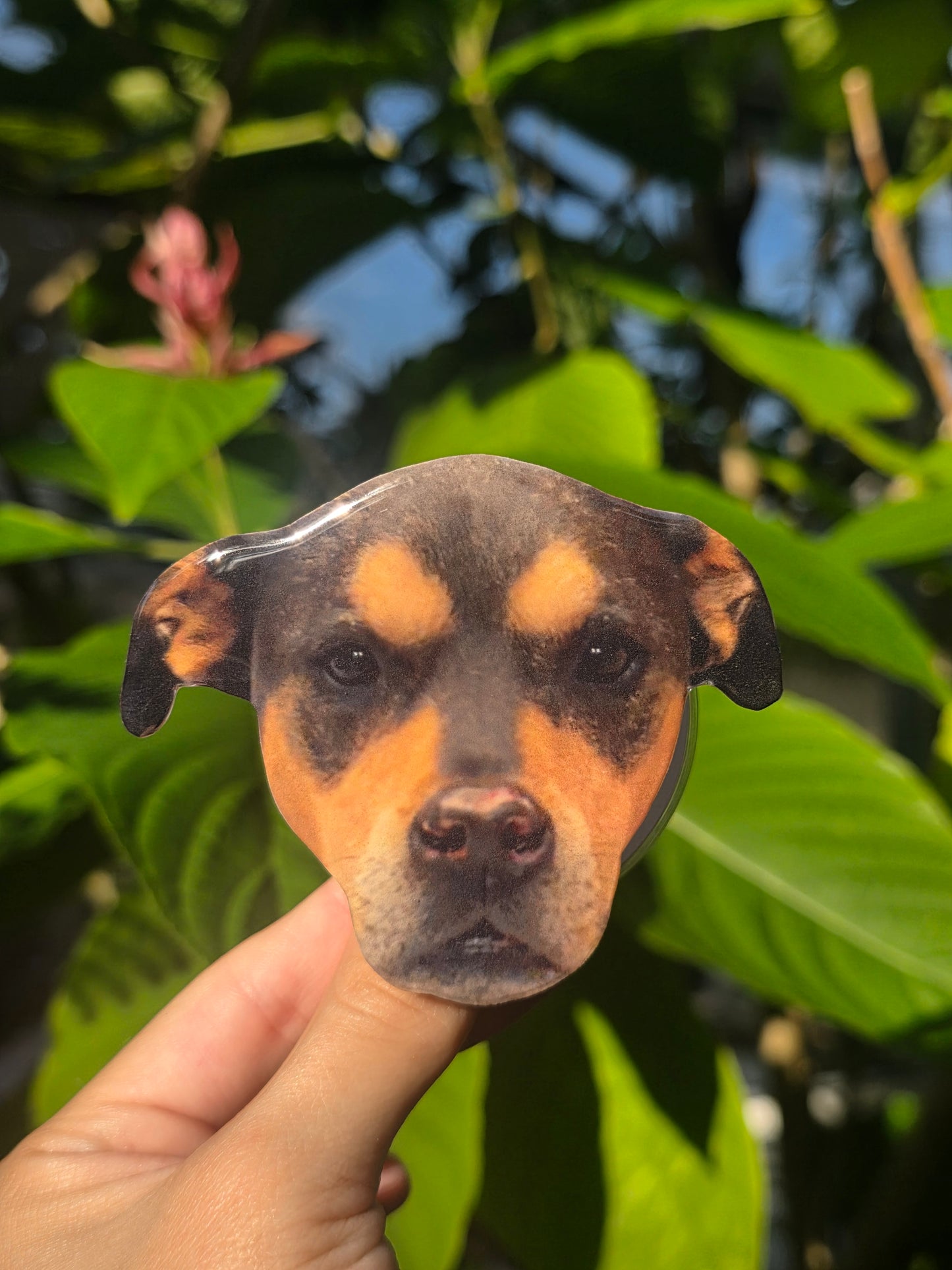 Custom Pet Phone Grips
