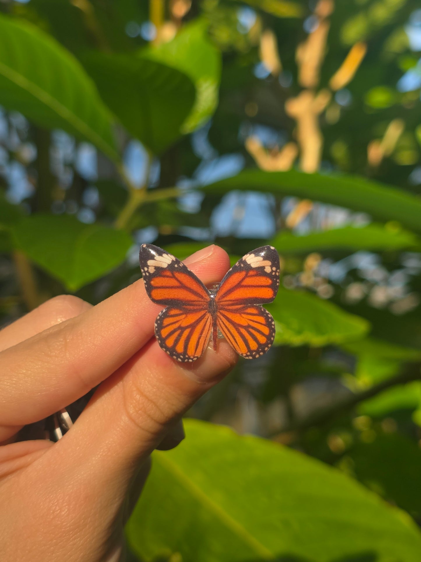Butterfly shoe charms